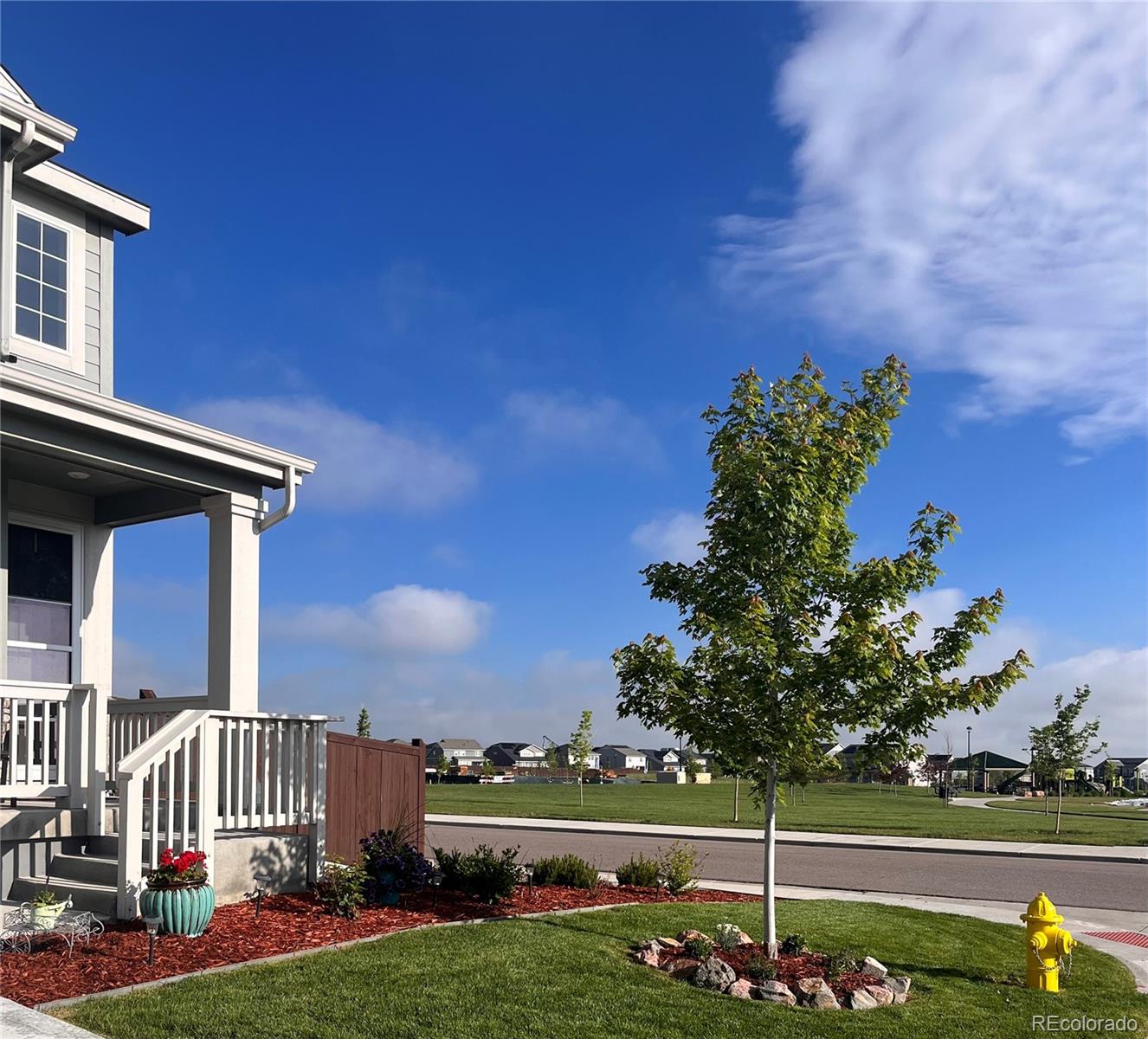 MLS Image #1 for 14475  grape way,brighton, Colorado