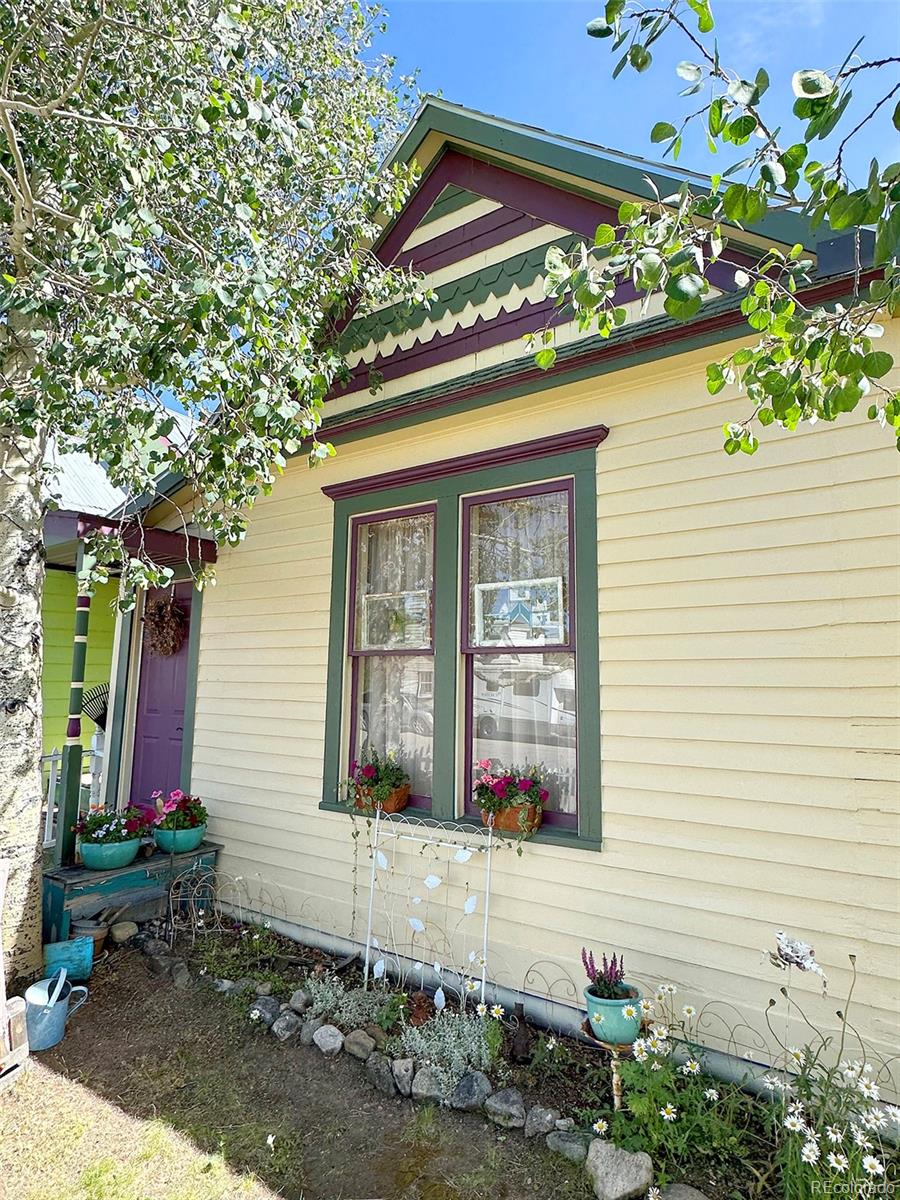 MLS Image #27 for 419 e 10th street,leadville, Colorado