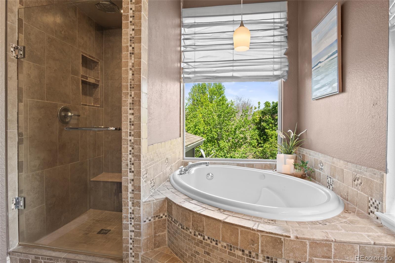 MLS Image #19 for 16648  oakmoor place,parker, Colorado