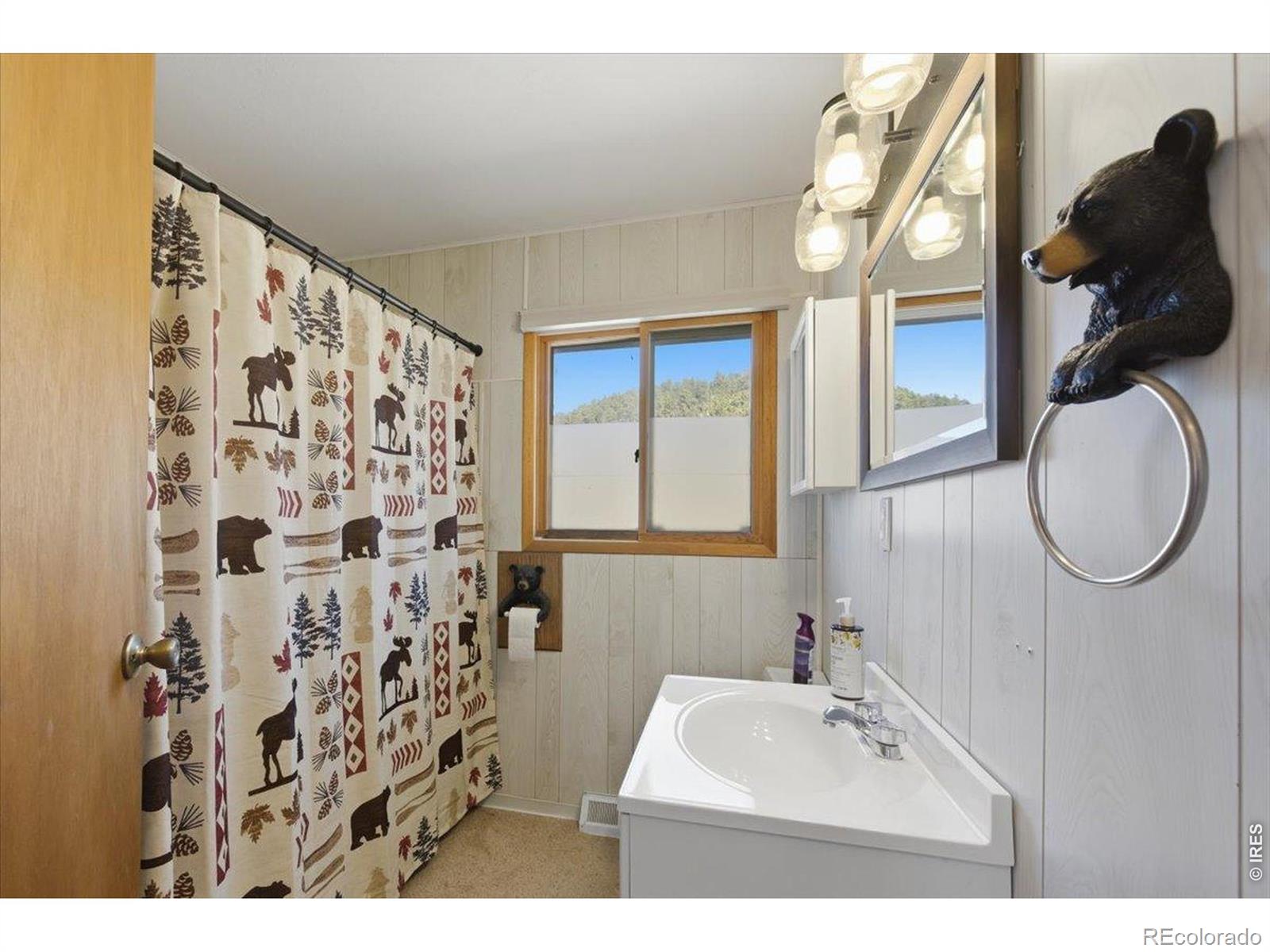 MLS Image #25 for 527  nowata drive,red feather lakes, Colorado