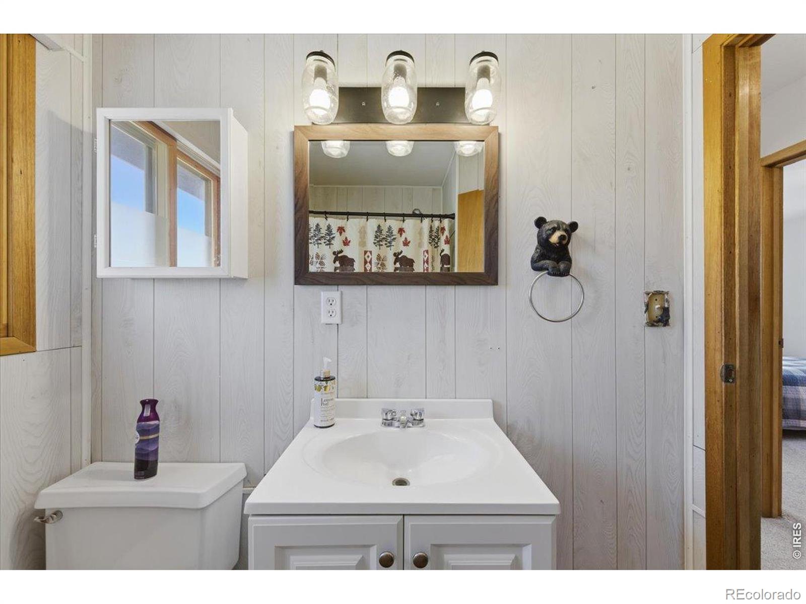 MLS Image #26 for 527  nowata drive,red feather lakes, Colorado