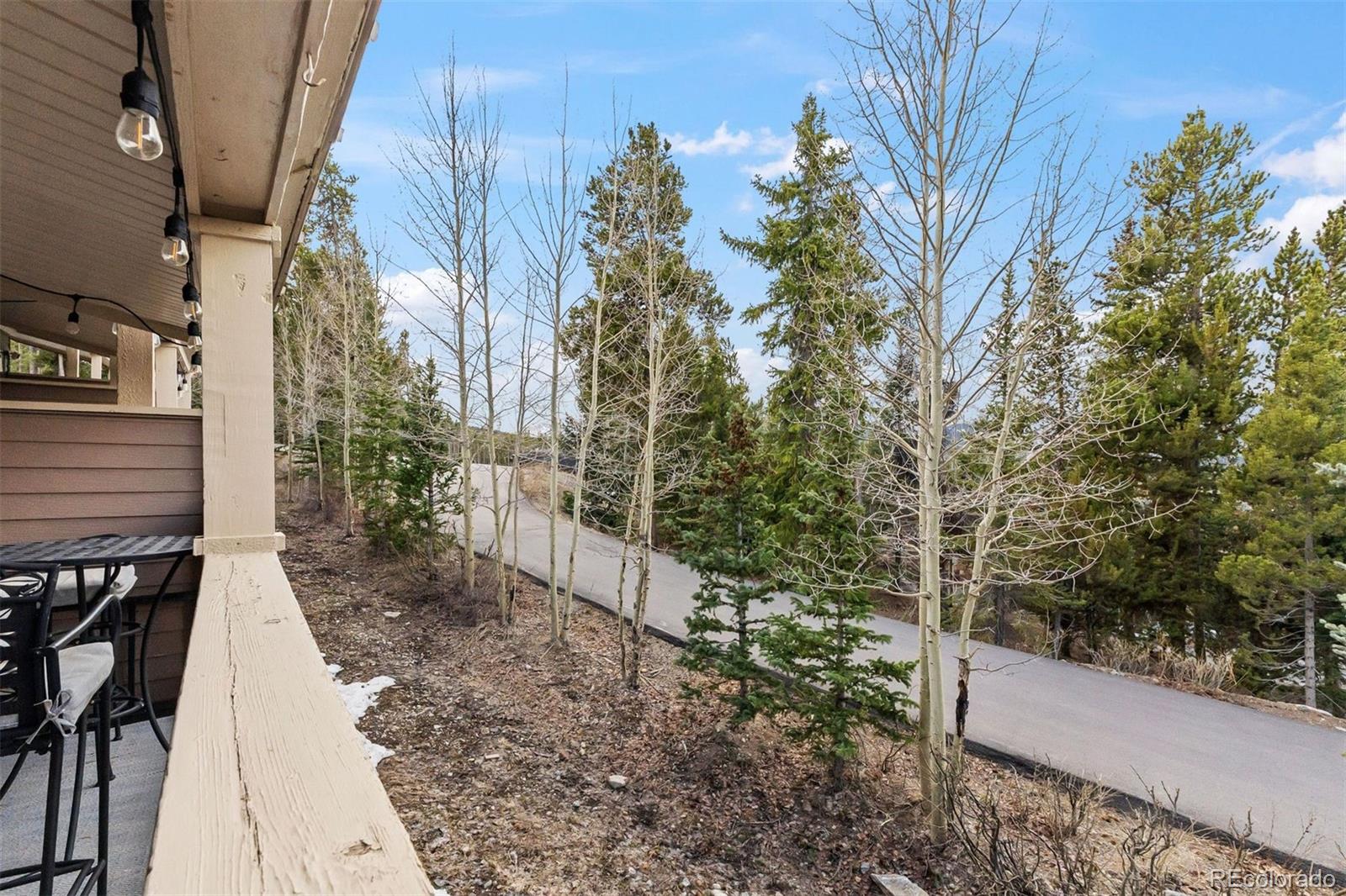 MLS Image #35 for 53  atlantic lode road,breckenridge, Colorado