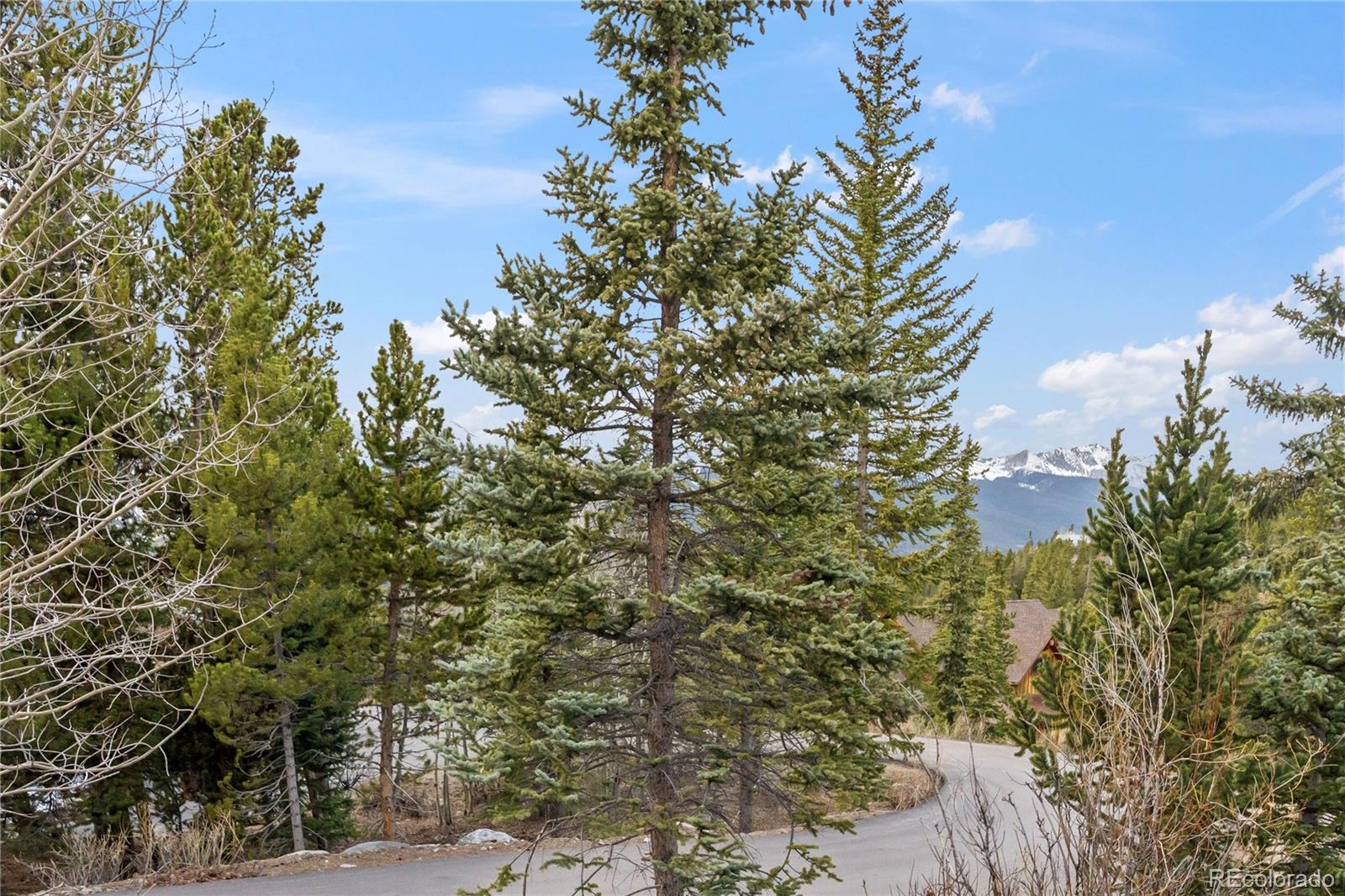MLS Image #49 for 53  atlantic lode road,breckenridge, Colorado