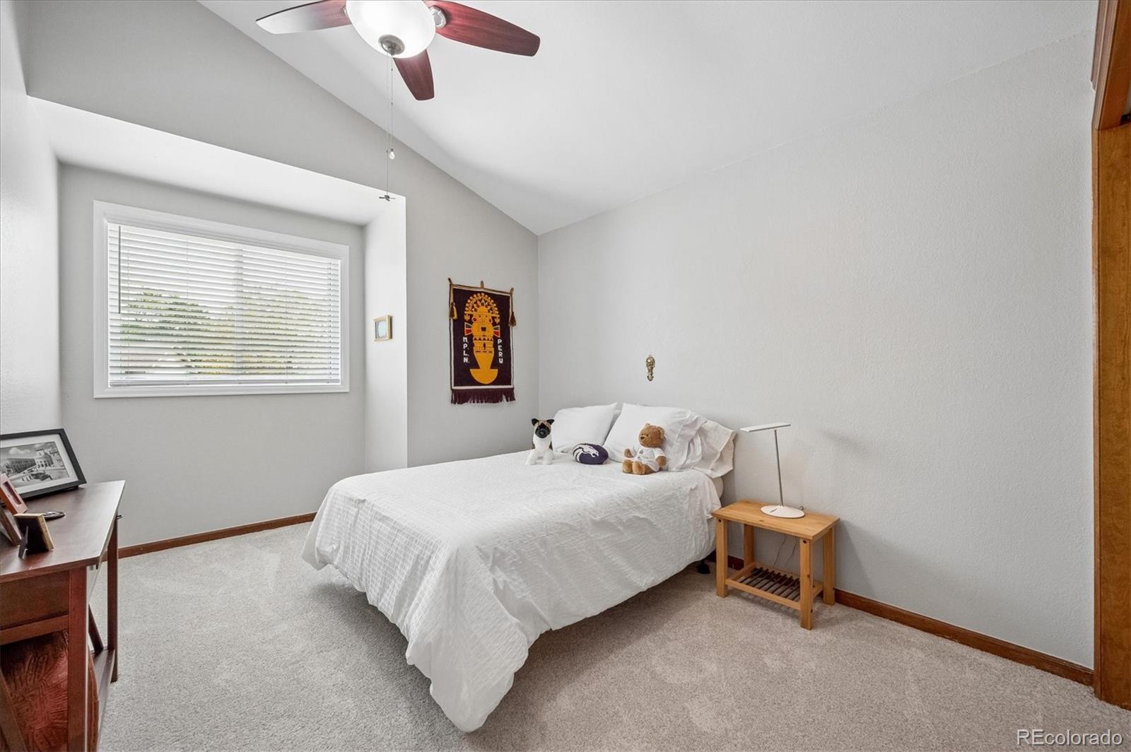 MLS Image #19 for 10003  armadillo drive,lone tree, Colorado