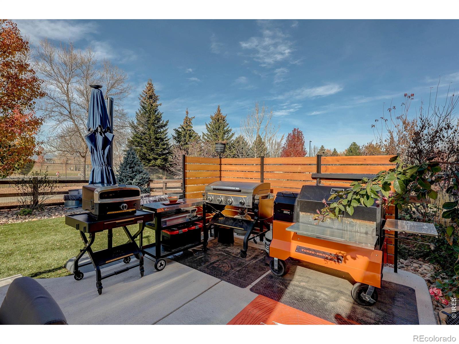 MLS Image #6 for 1032  marfell street,erie, Colorado