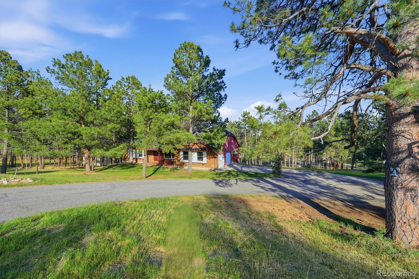 MLS Image #39 for 11486  ponderosa lane,franktown, Colorado