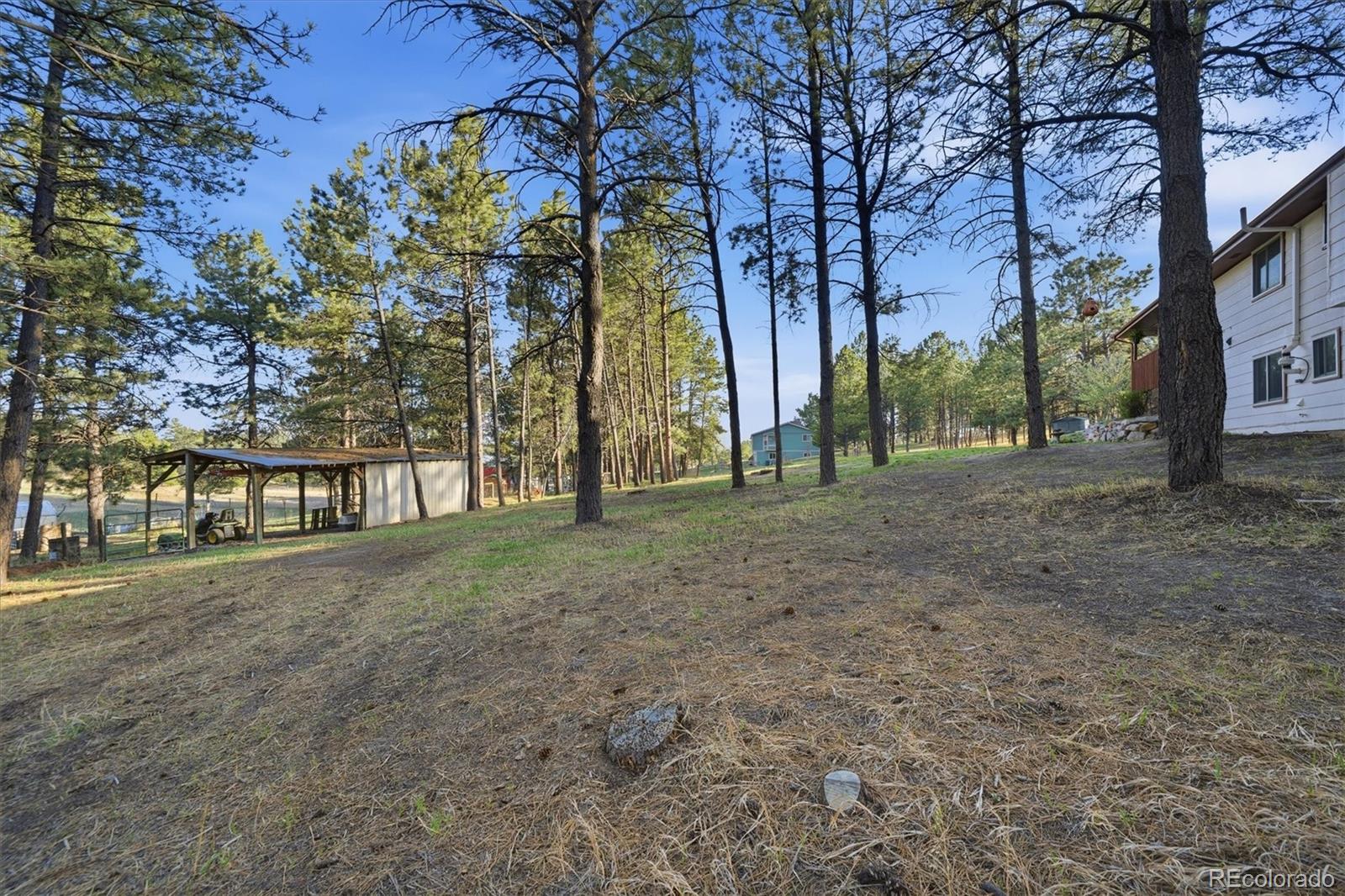 MLS Image #41 for 11486  ponderosa lane,franktown, Colorado