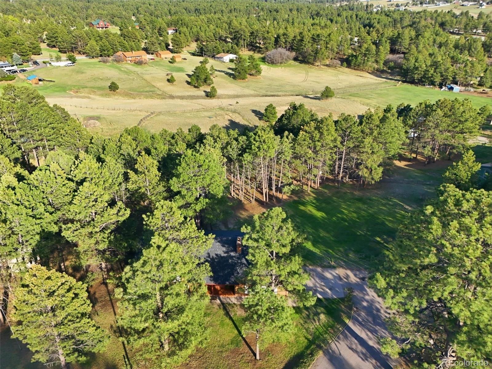 MLS Image #48 for 11486  ponderosa lane,franktown, Colorado