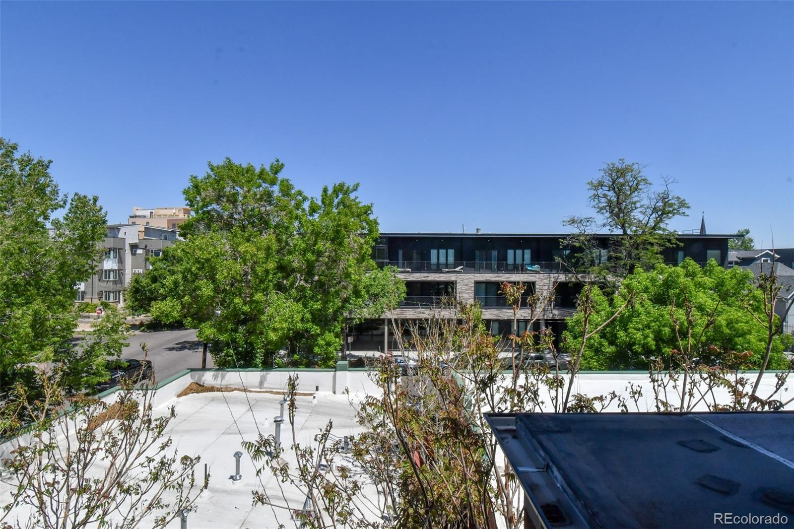 MLS Image #10 for 3040  zuni street,denver, Colorado