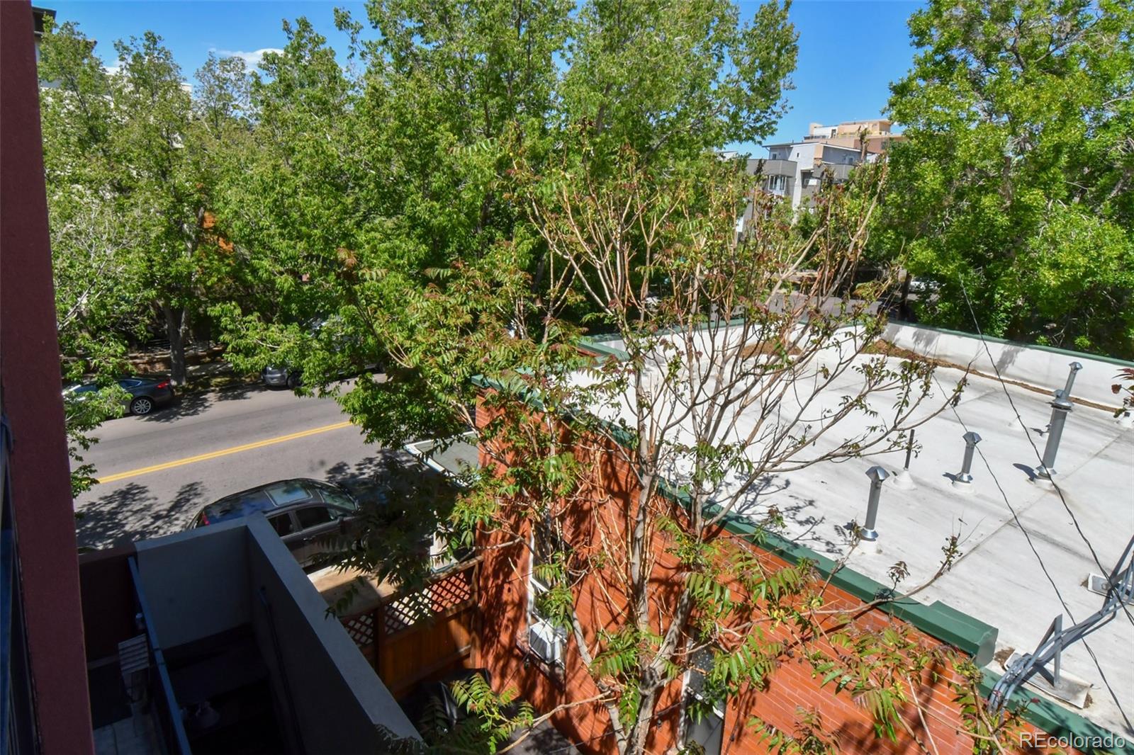 MLS Image #20 for 3040  zuni street,denver, Colorado
