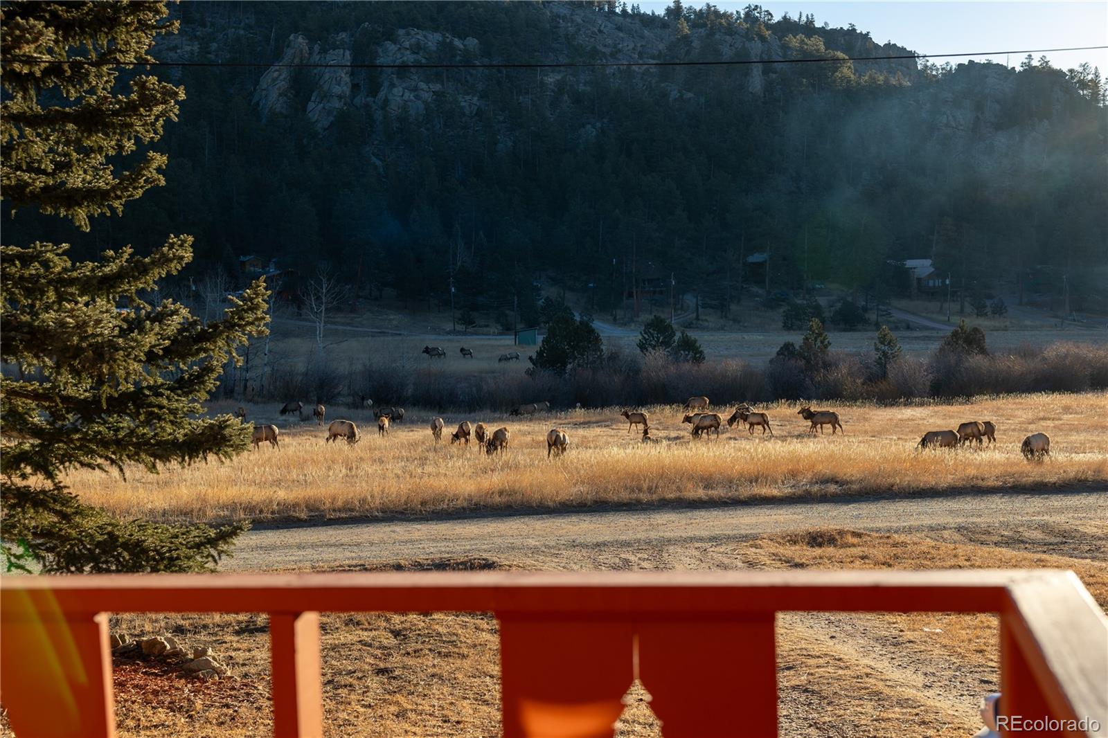 MLS Image #20 for 177  cedar drive,lyons, Colorado