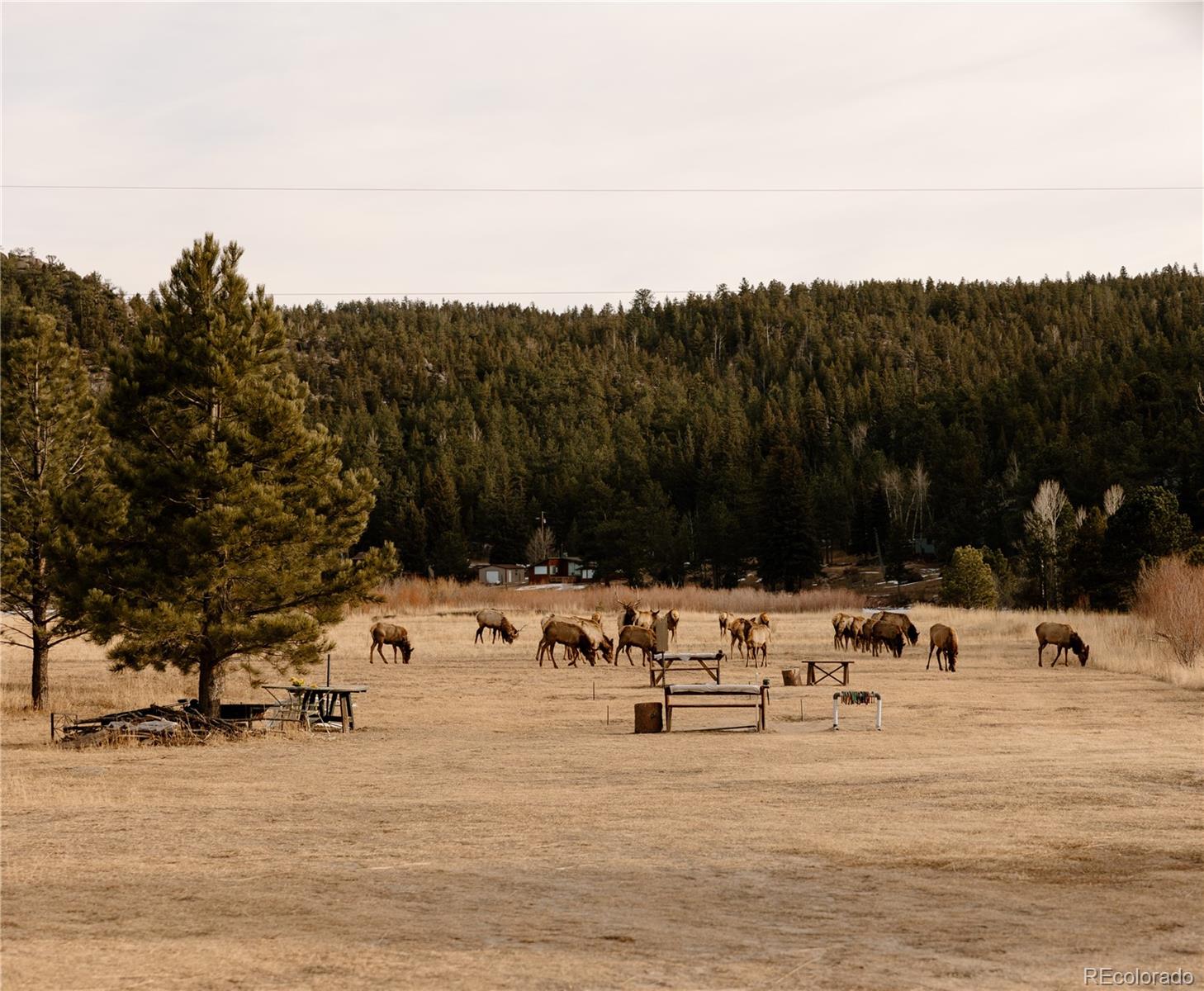 MLS Image #21 for 177  cedar drive,lyons, Colorado