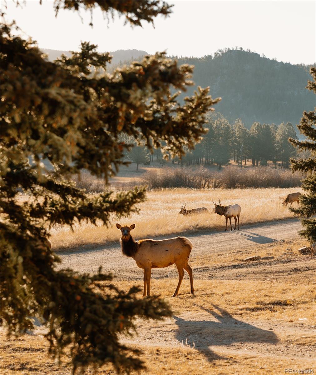 MLS Image #23 for 177  cedar drive,lyons, Colorado