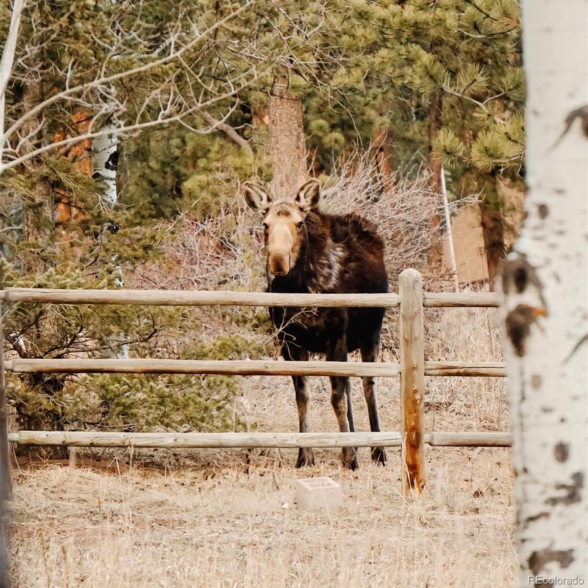 MLS Image #25 for 177  cedar drive,lyons, Colorado