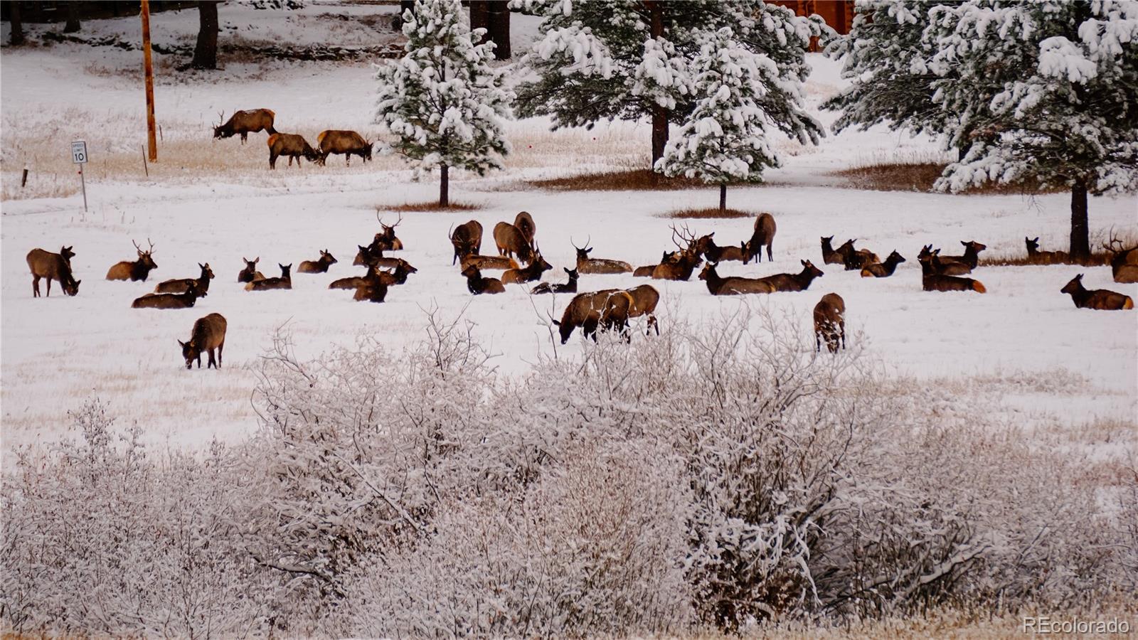 MLS Image #27 for 177  cedar drive,lyons, Colorado