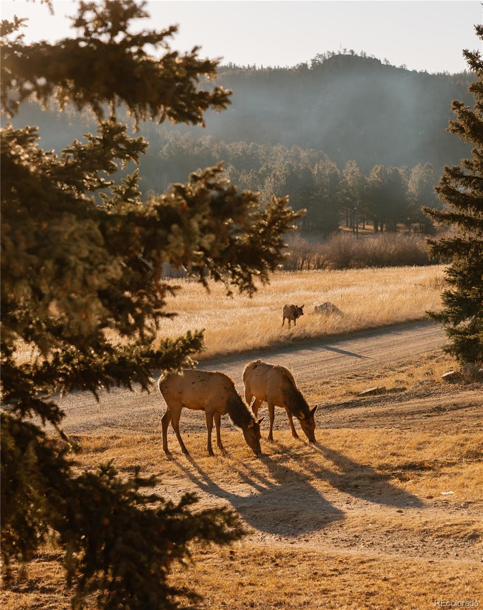 MLS Image #30 for 177  cedar drive,lyons, Colorado