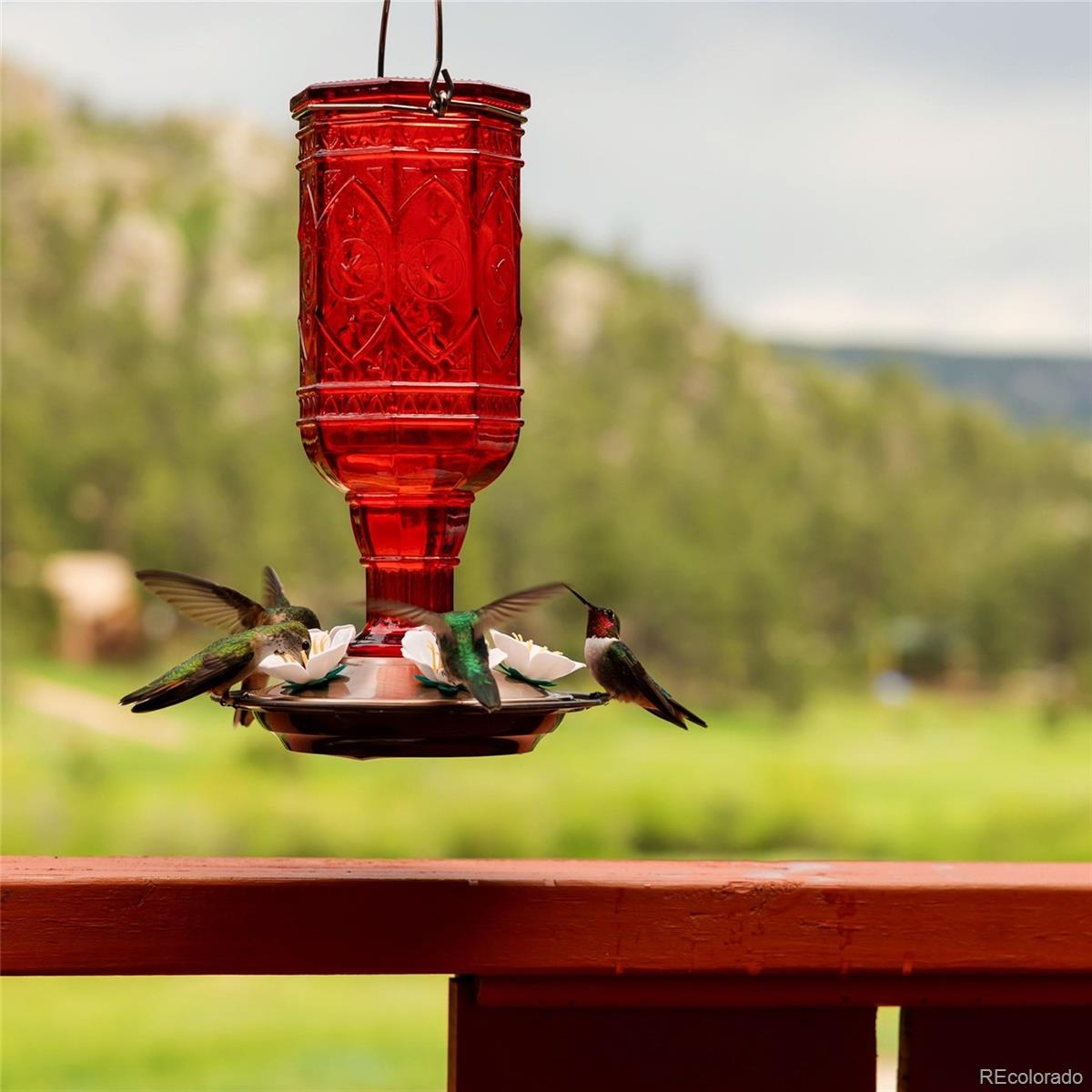 MLS Image #32 for 177  cedar drive,lyons, Colorado