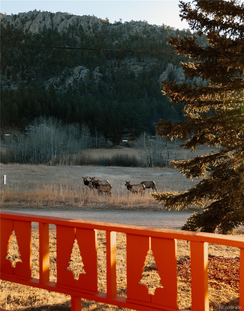MLS Image #36 for 177  cedar drive,lyons, Colorado