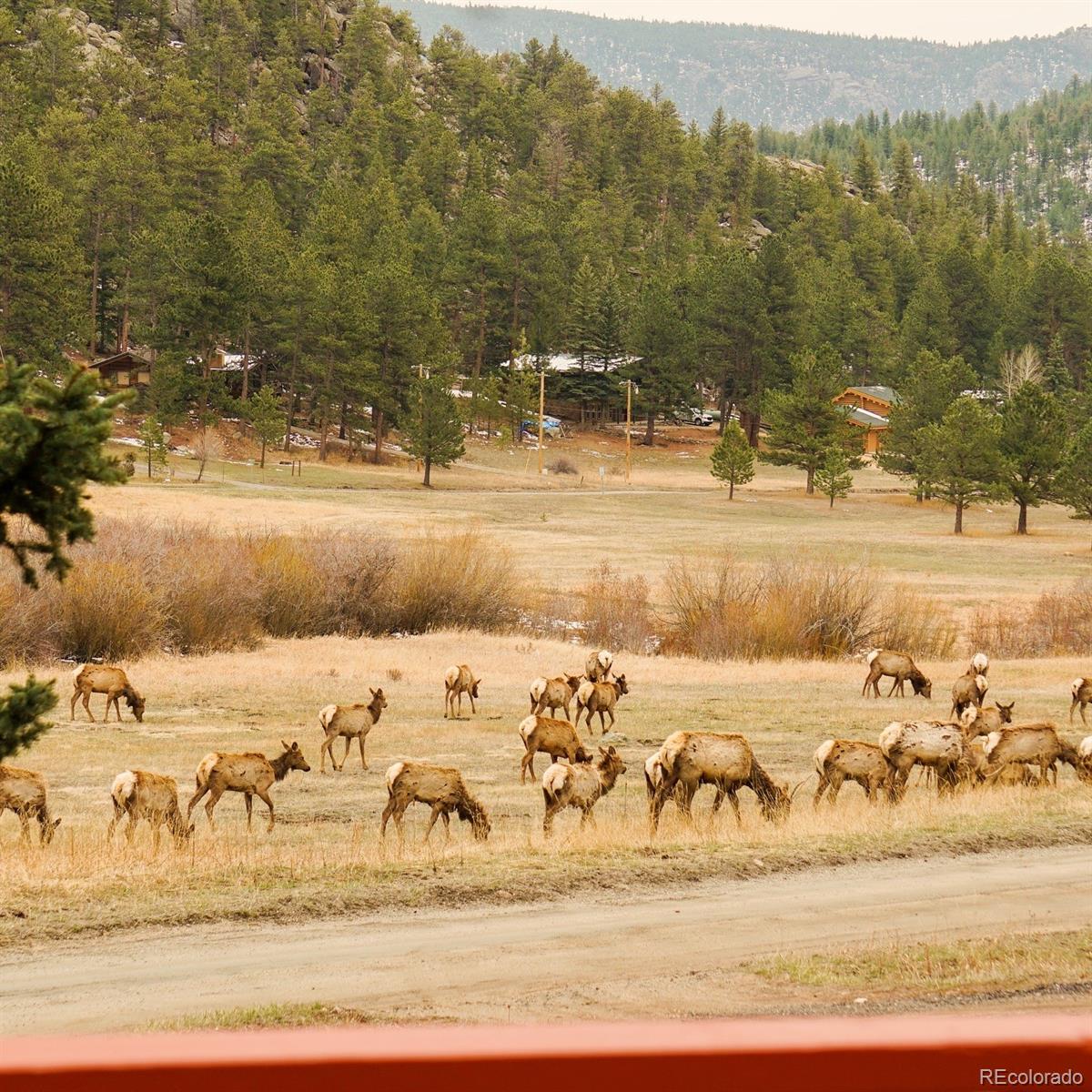 MLS Image #43 for 177  cedar drive,lyons, Colorado