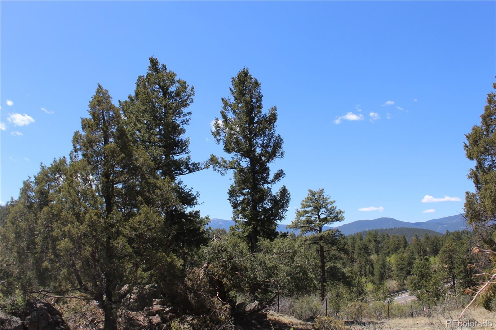 MLS Image #14 for 234  panorama drive,bailey, Colorado