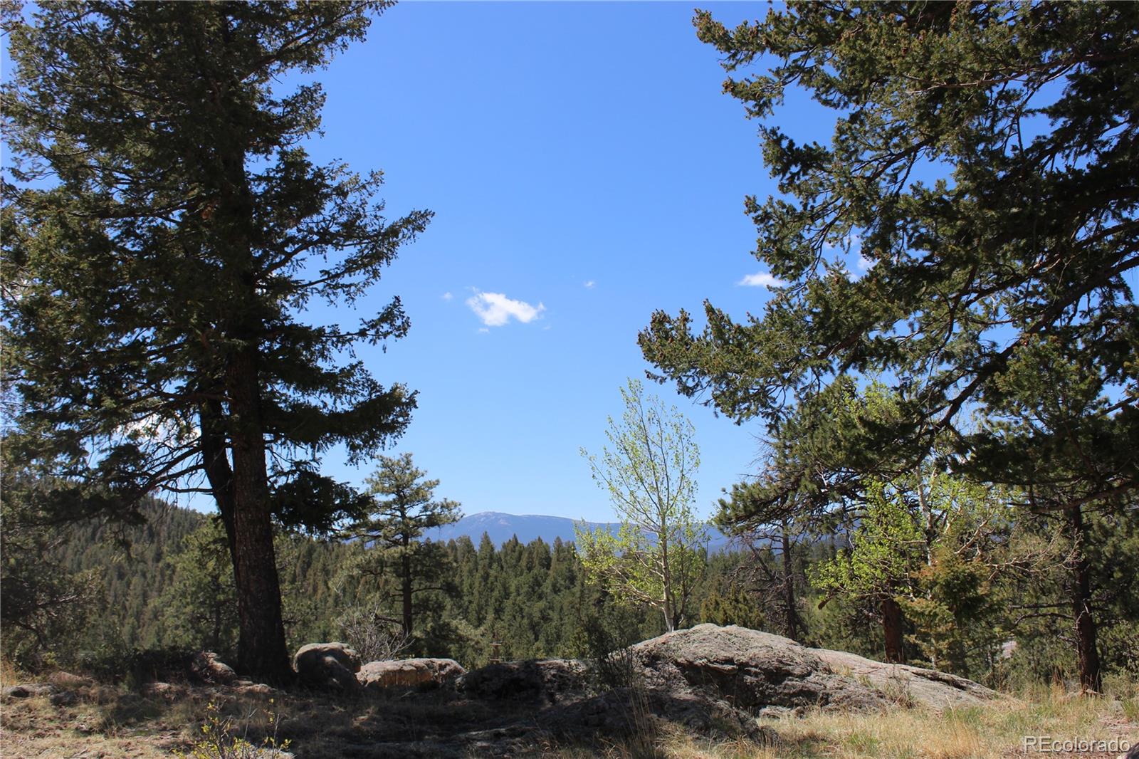 MLS Image #16 for 234  panorama drive,bailey, Colorado