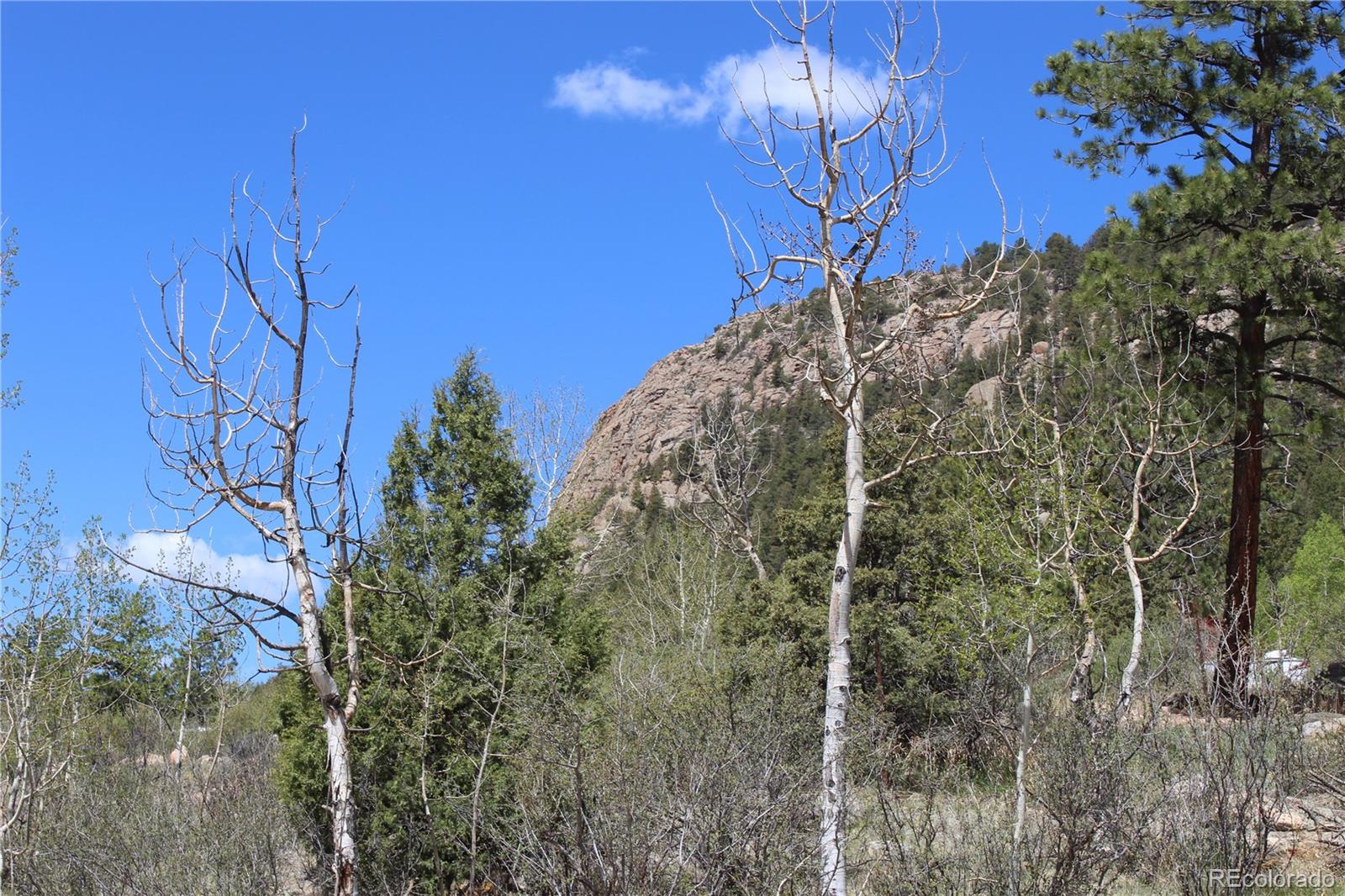 MLS Image #2 for 234  panorama drive,bailey, Colorado