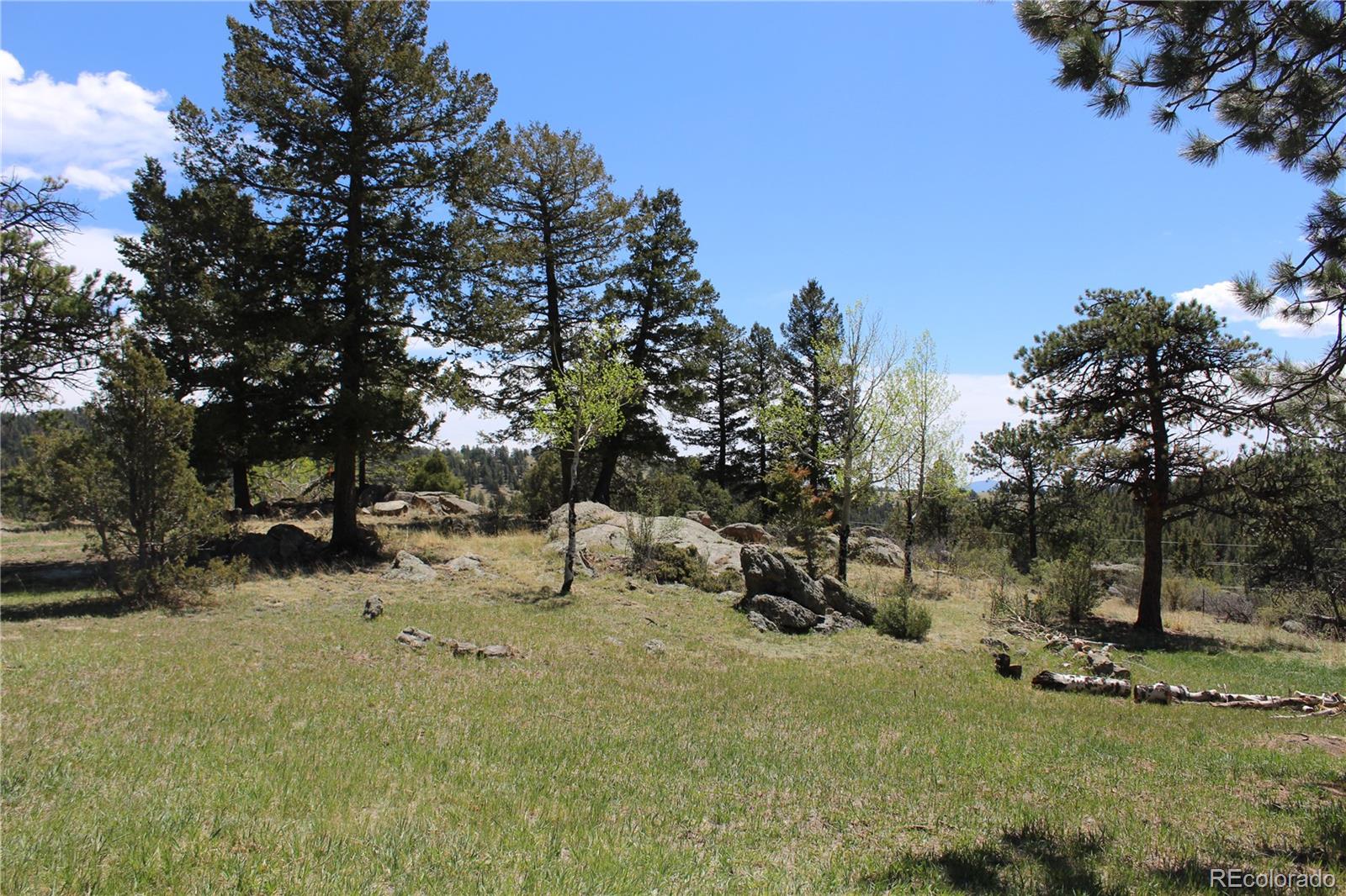 MLS Image #24 for 234  panorama drive,bailey, Colorado