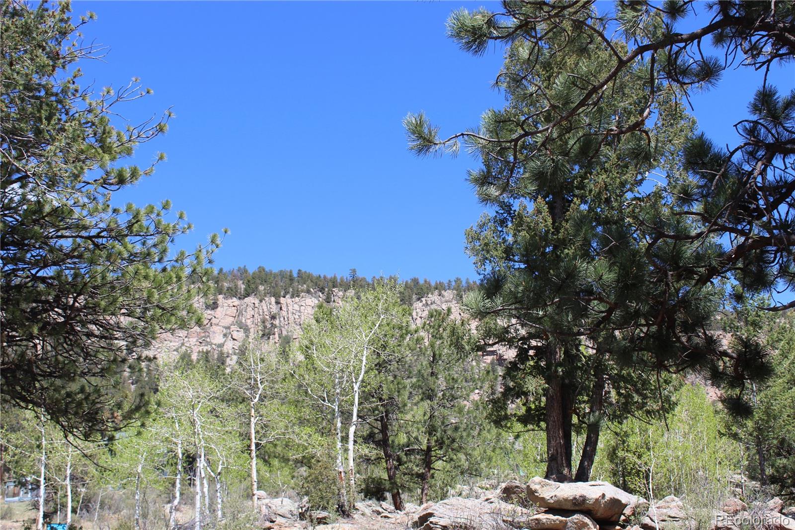 MLS Image #4 for 234  panorama drive,bailey, Colorado
