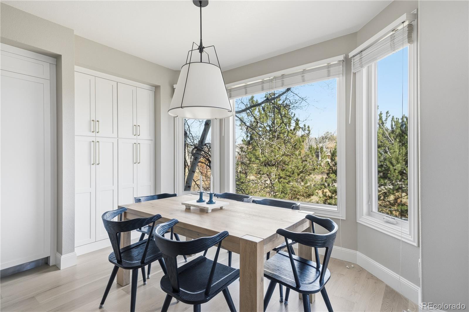 MLS Image #9 for 5345  preserve parkway,greenwood village, Colorado