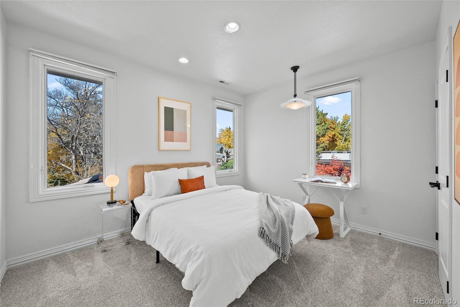 MLS Image #23 for 274  vine street,denver, Colorado