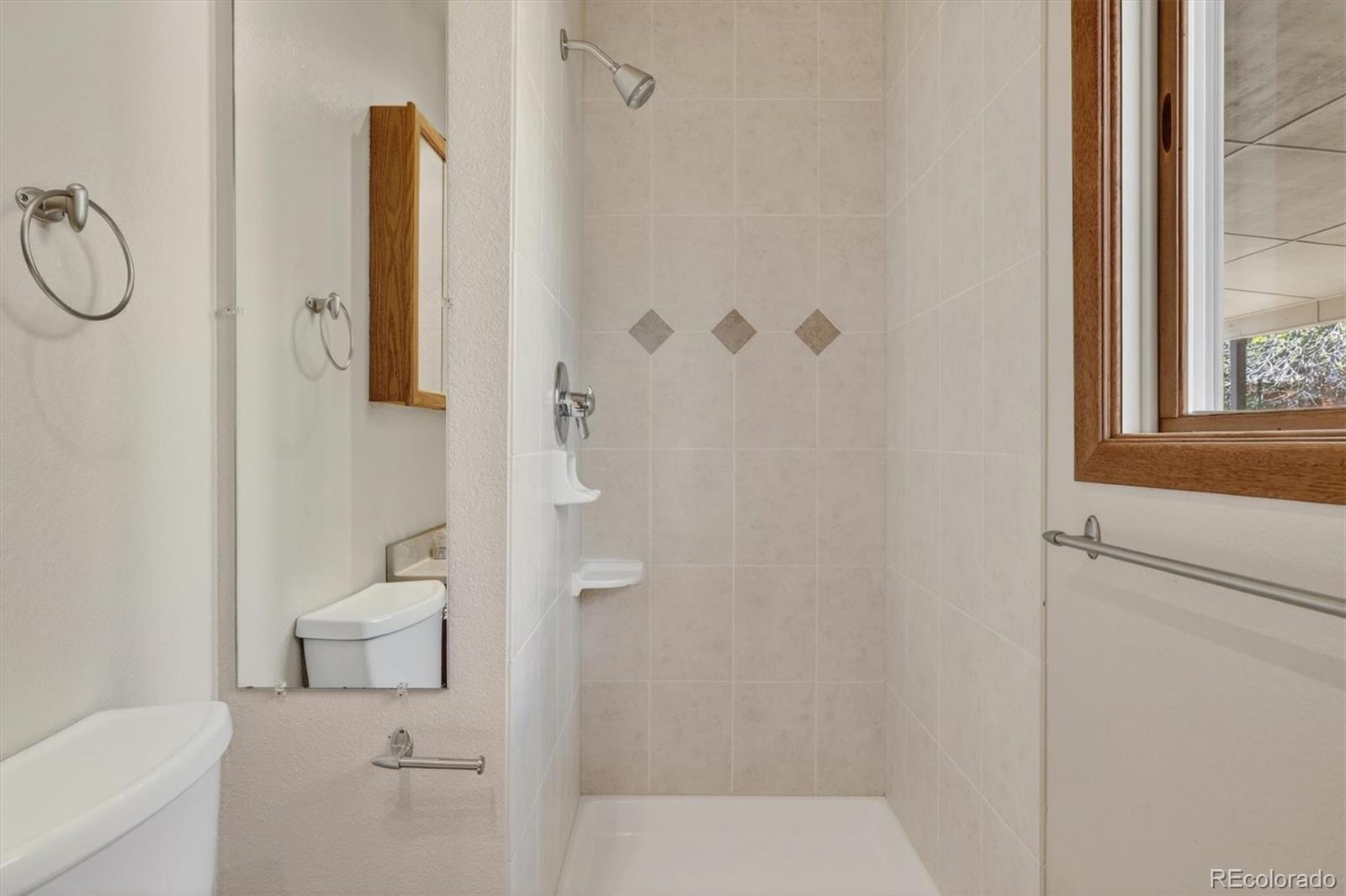 MLS Image #16 for 1055  yank street,golden, Colorado