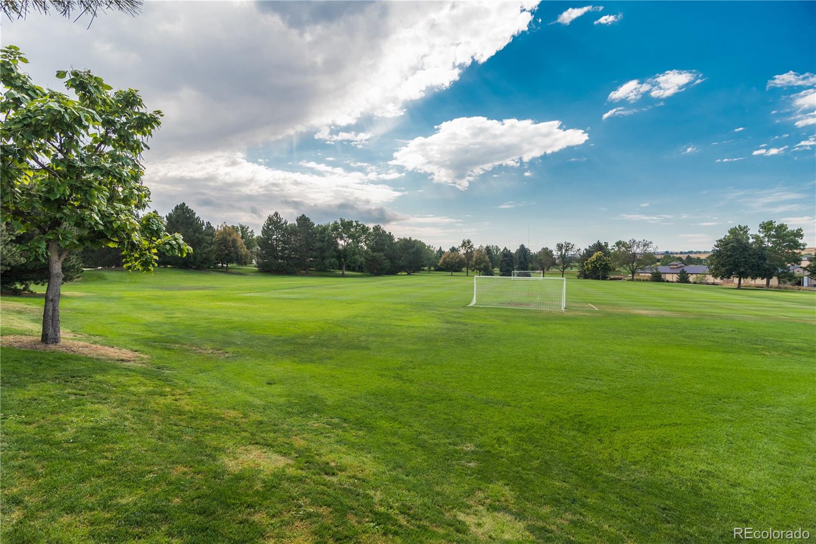MLS Image #41 for 7856 s fairfax court,centennial, Colorado