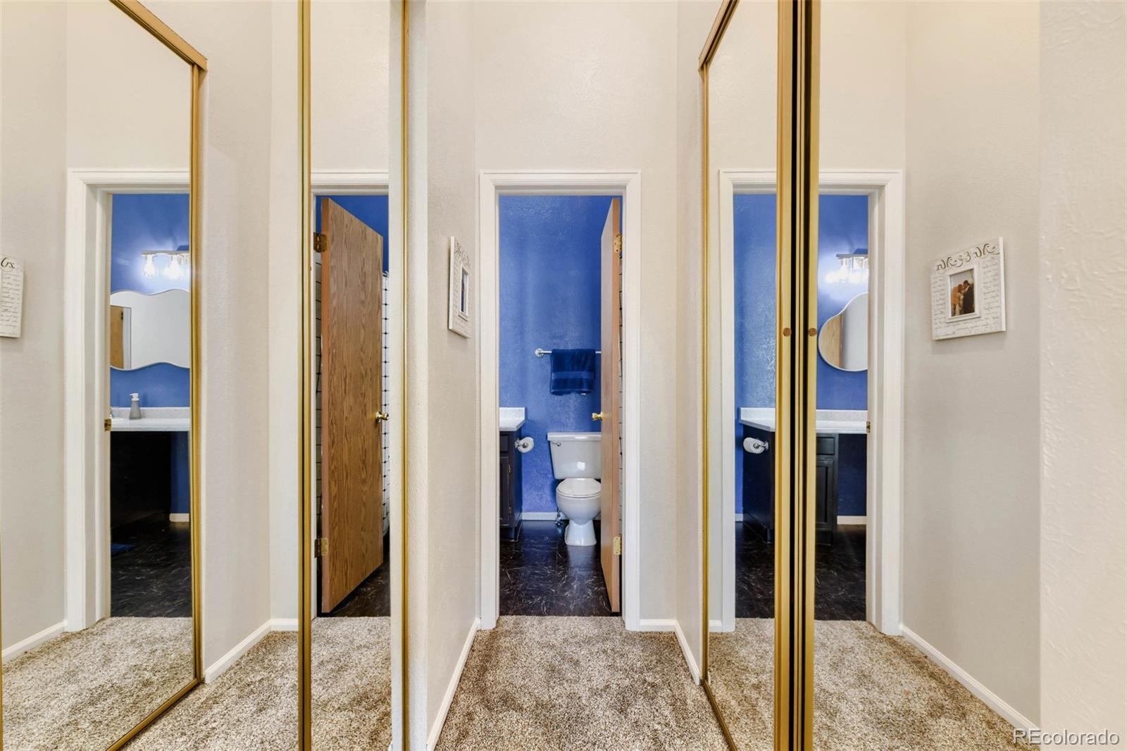 MLS Image #13 for 6705 s field street,littleton, Colorado