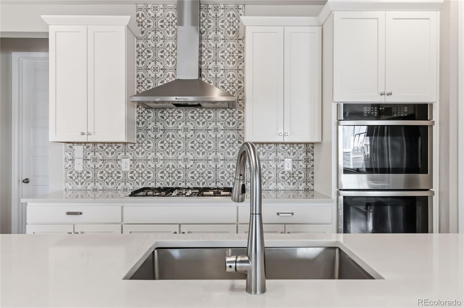 MLS Image #6 for 1570  gentle rain drive,castle rock, Colorado