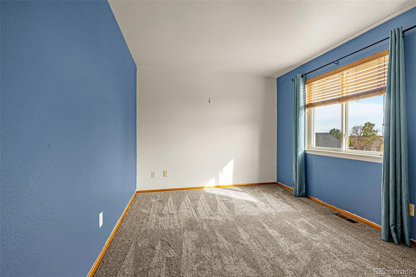 MLS Image #23 for 5663  mesa mountain way,colorado springs, Colorado