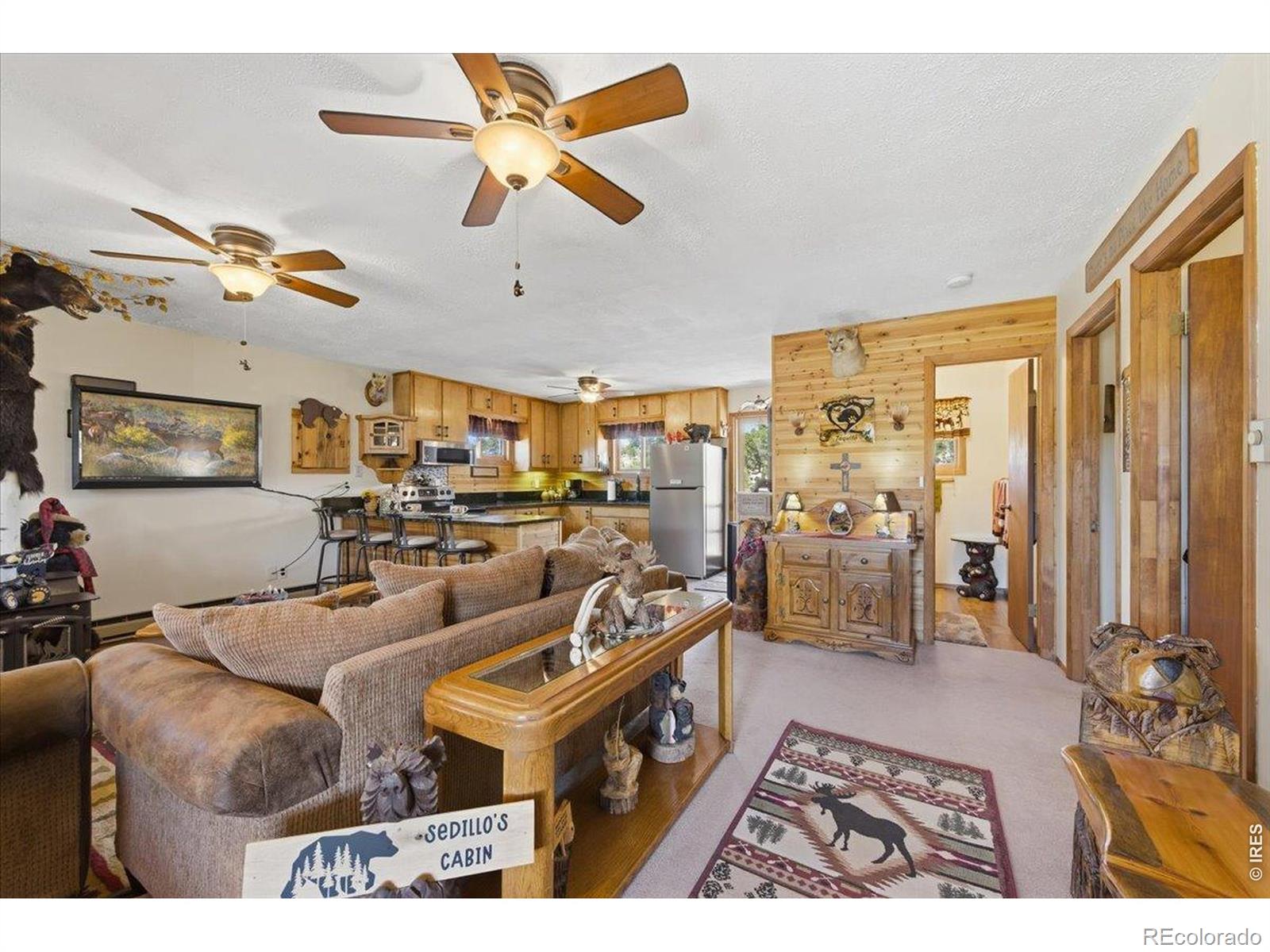 MLS Image #10 for 66  walela lane,red feather lakes, Colorado