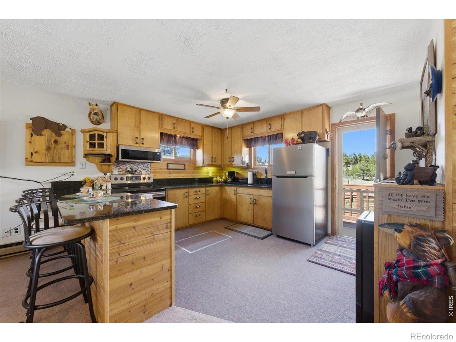 MLS Image #12 for 66  walela lane,red feather lakes, Colorado