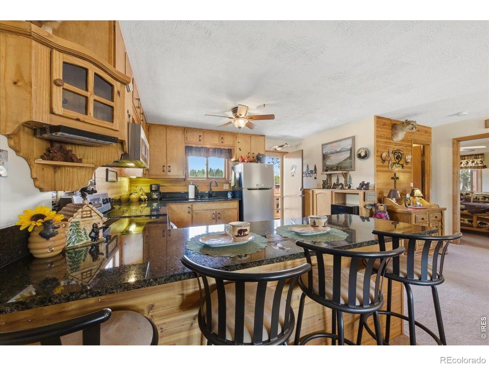 MLS Image #14 for 66  walela lane,red feather lakes, Colorado