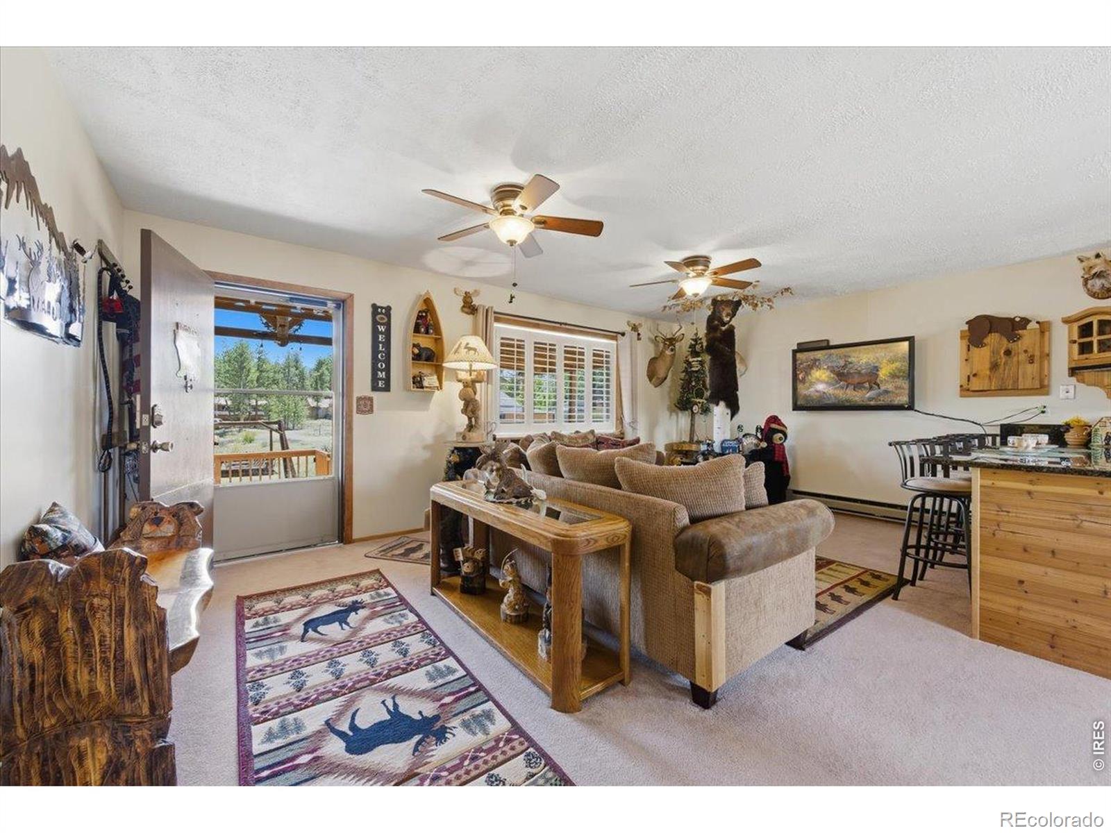MLS Image #8 for 66  walela lane,red feather lakes, Colorado