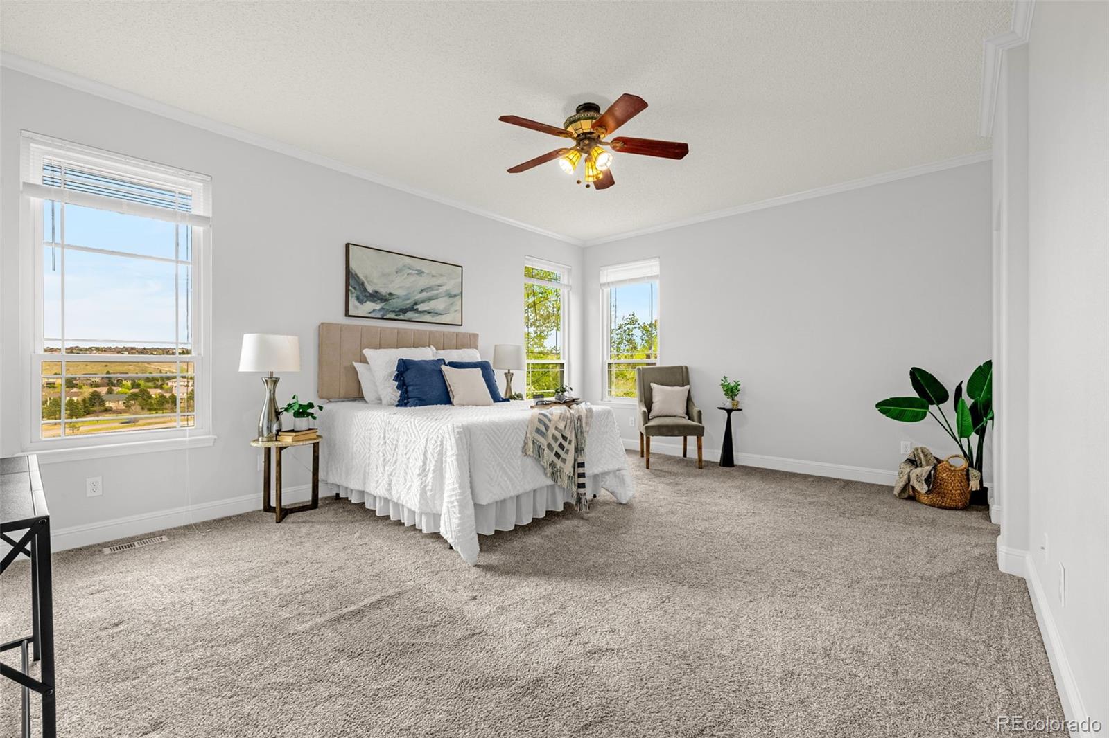 MLS Image #19 for 9135  chetwood drive,colorado springs, Colorado