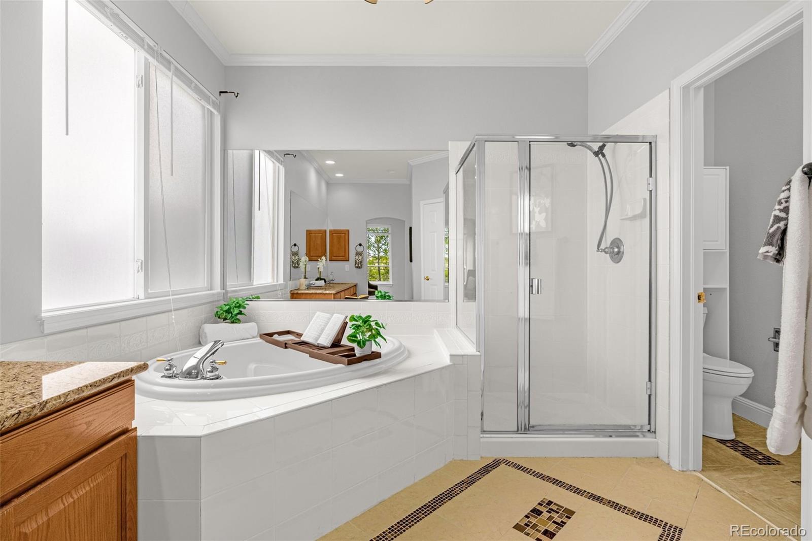 MLS Image #21 for 9135  chetwood drive,colorado springs, Colorado