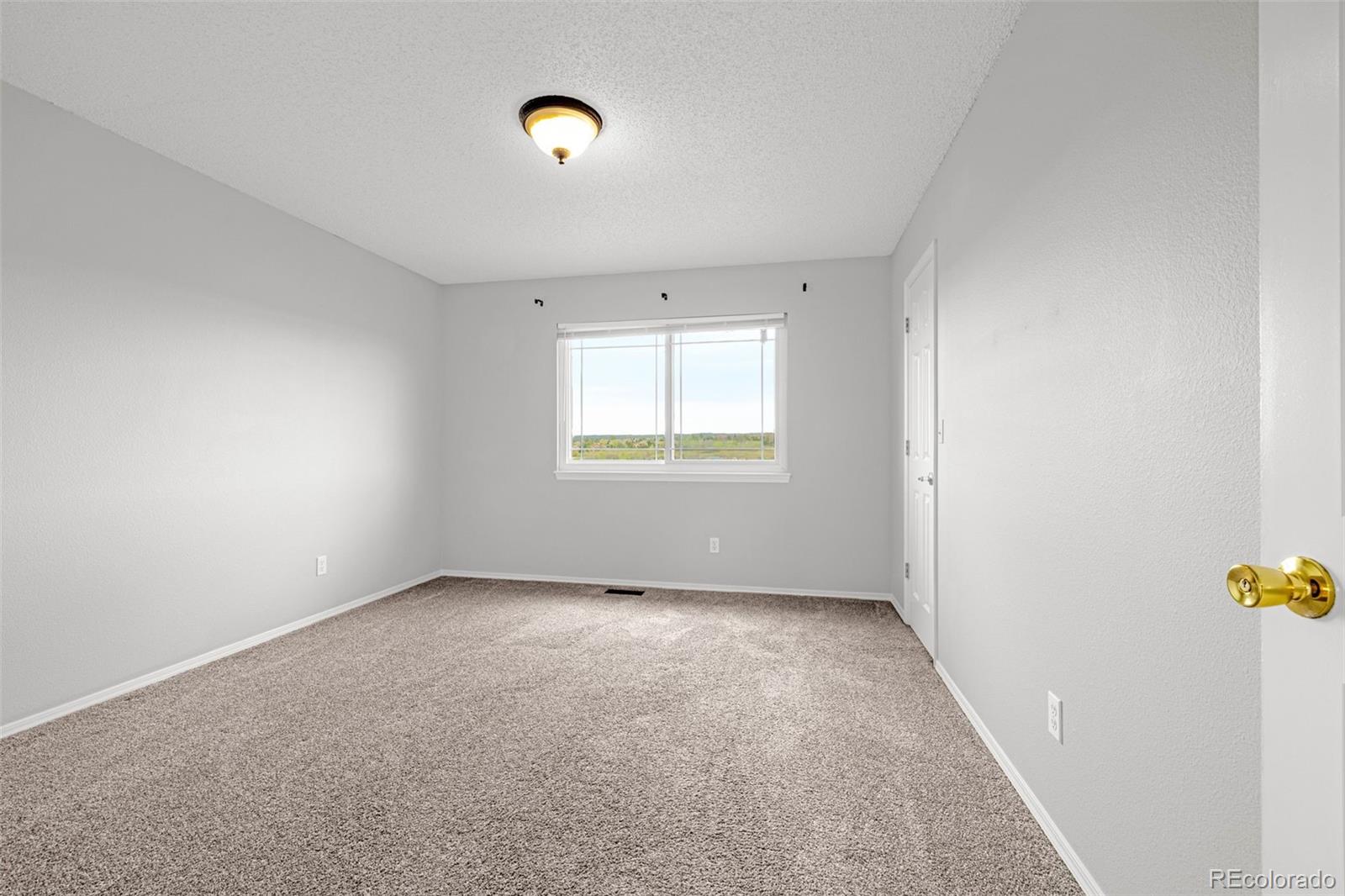 MLS Image #29 for 9135  chetwood drive,colorado springs, Colorado