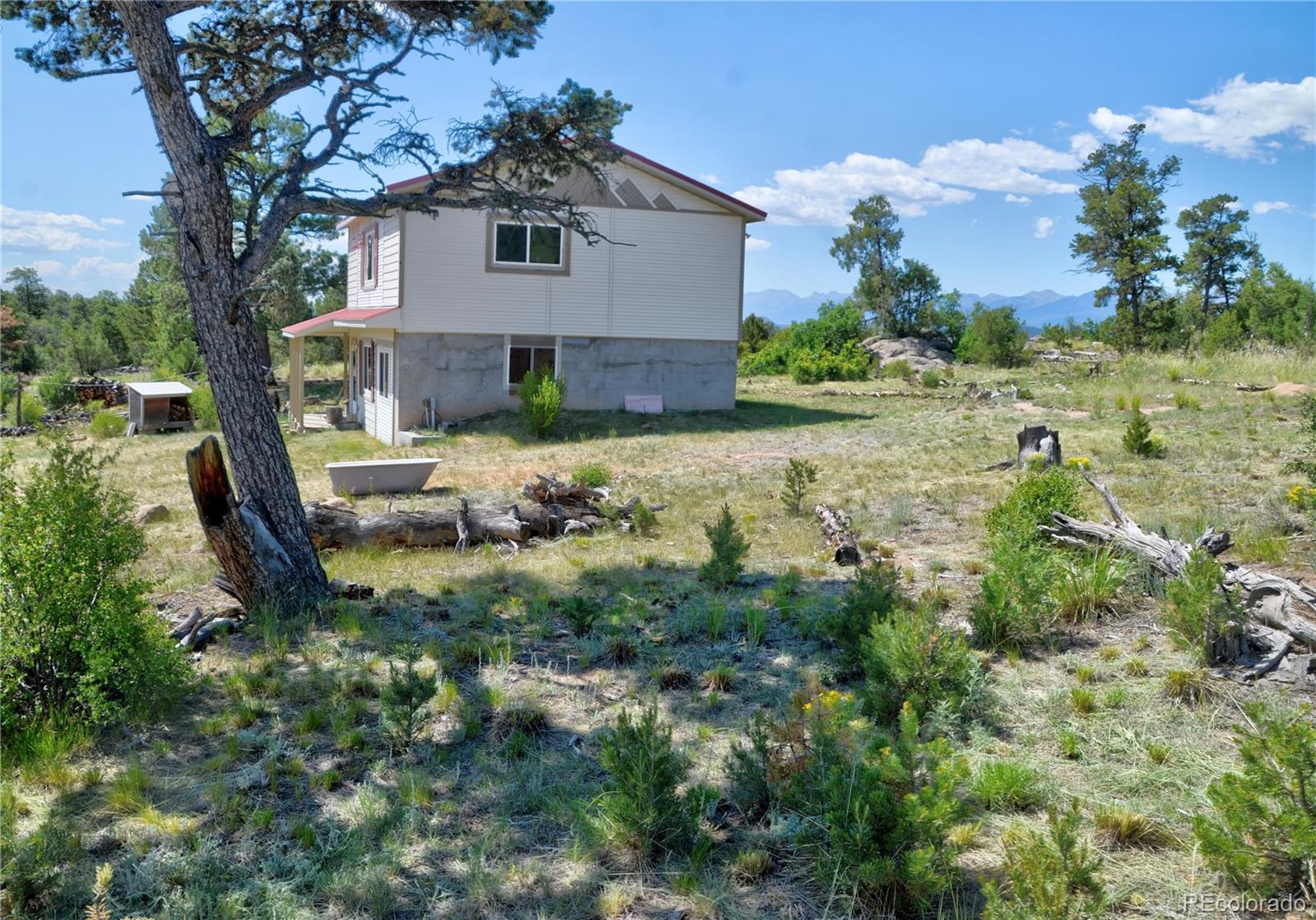 MLS Image #27 for 395  fox fire trail,cotopaxi, Colorado