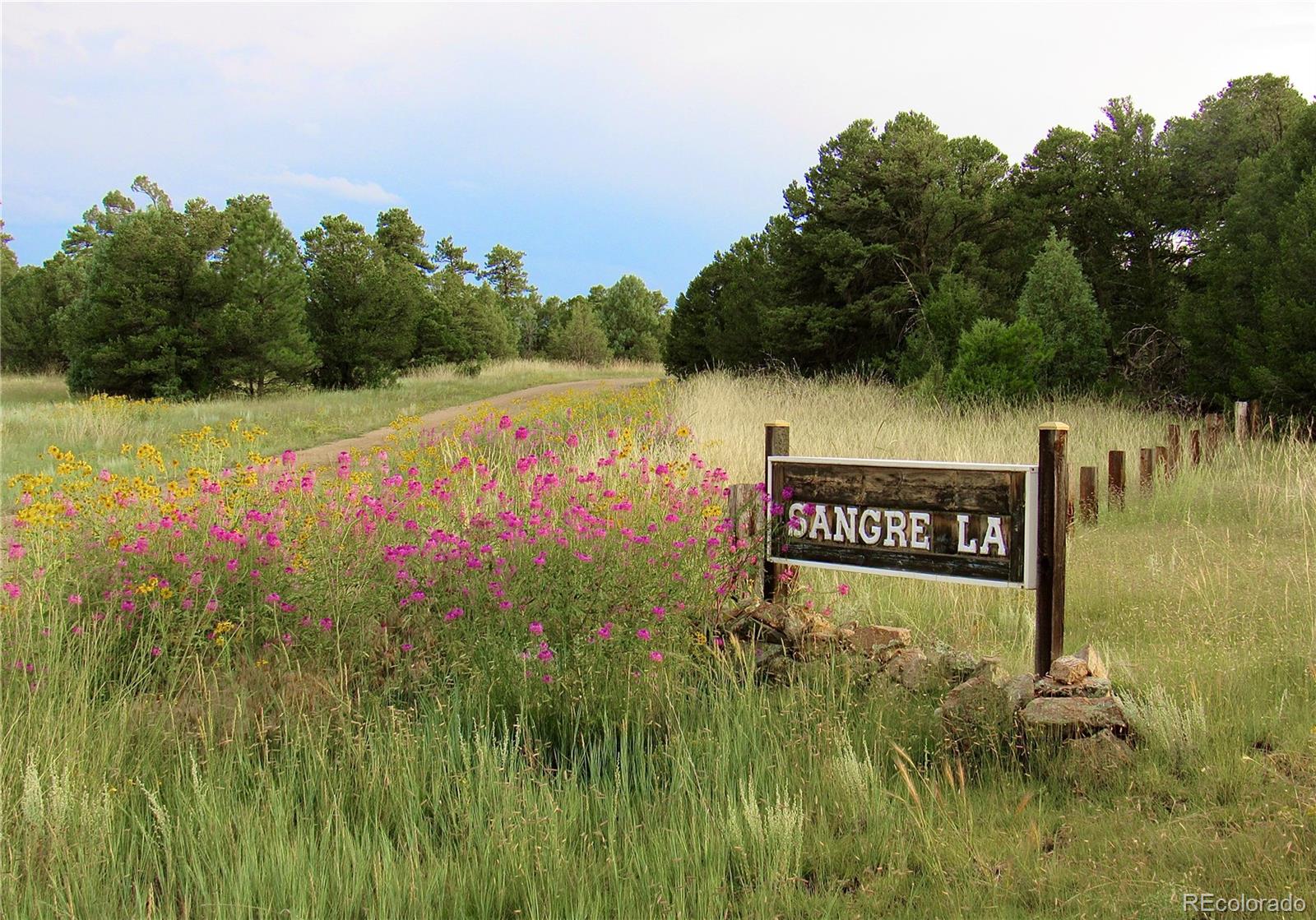 MLS Image #38 for 395  fox fire trail,cotopaxi, Colorado