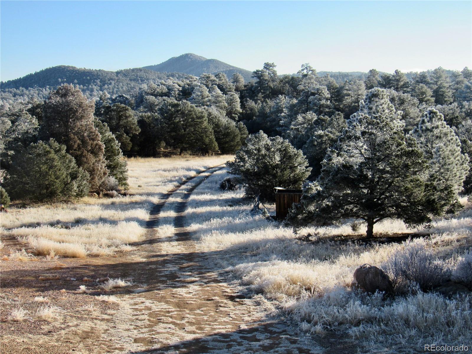 MLS Image #39 for 395  fox fire trail,cotopaxi, Colorado