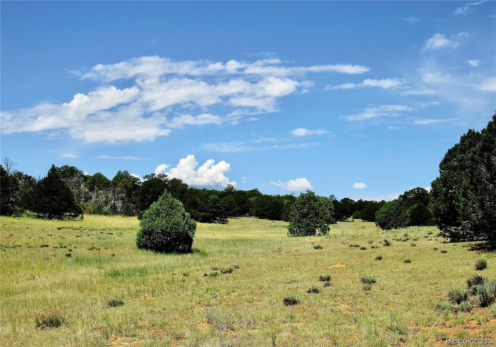 MLS Image #41 for 395  fox fire trail,cotopaxi, Colorado