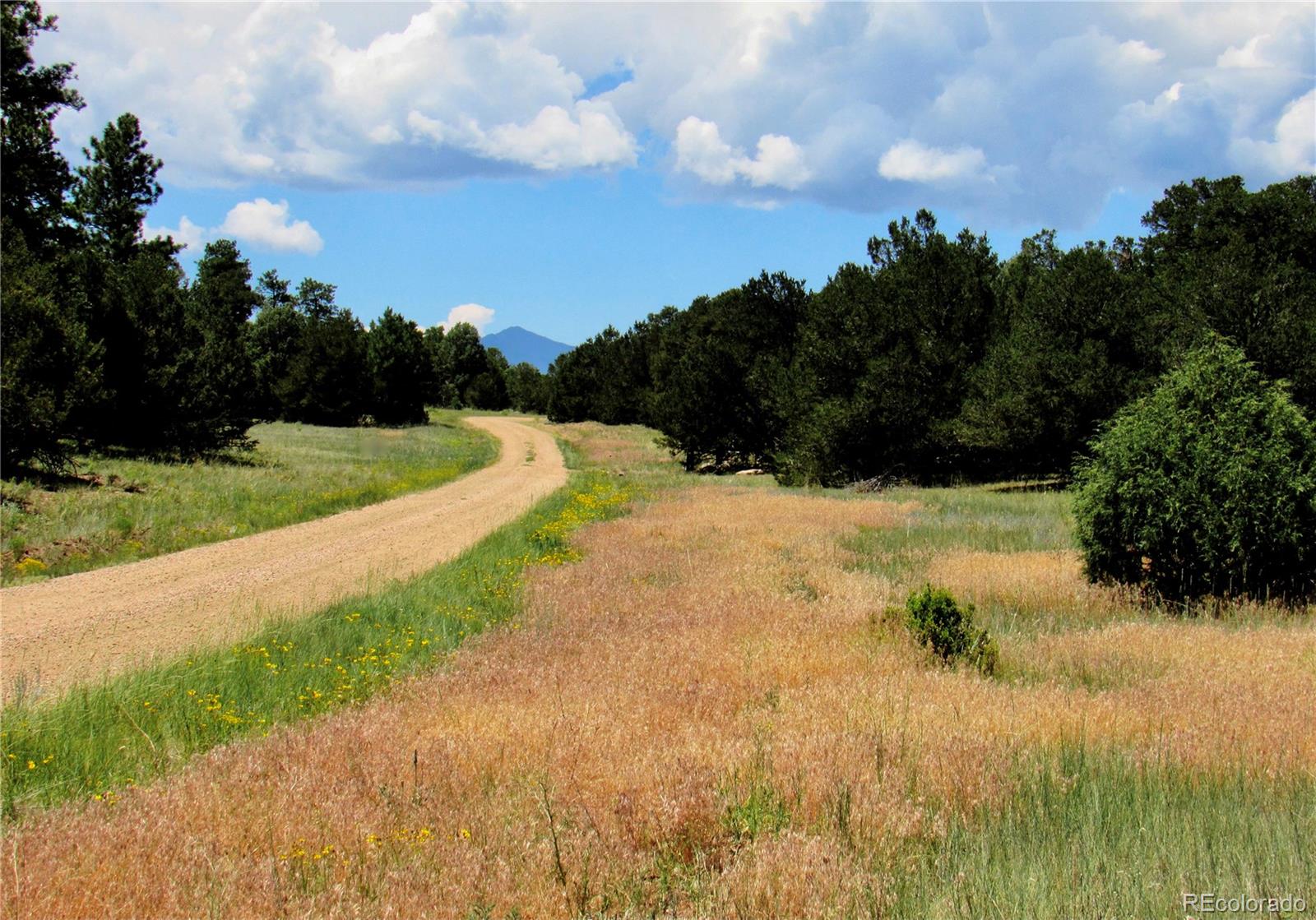 MLS Image #42 for 395  fox fire trail,cotopaxi, Colorado