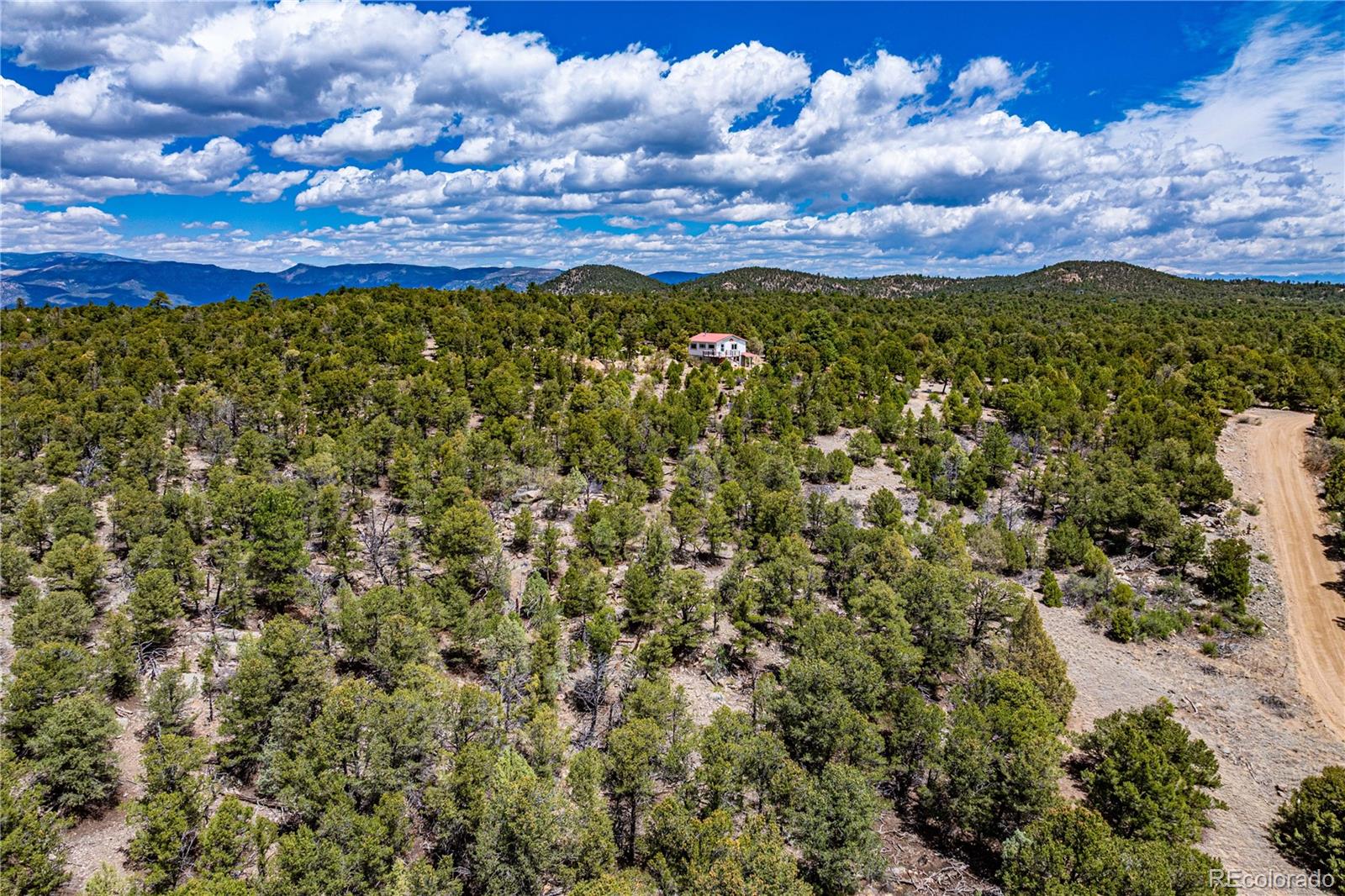 MLS Image #46 for 395  fox fire trail,cotopaxi, Colorado