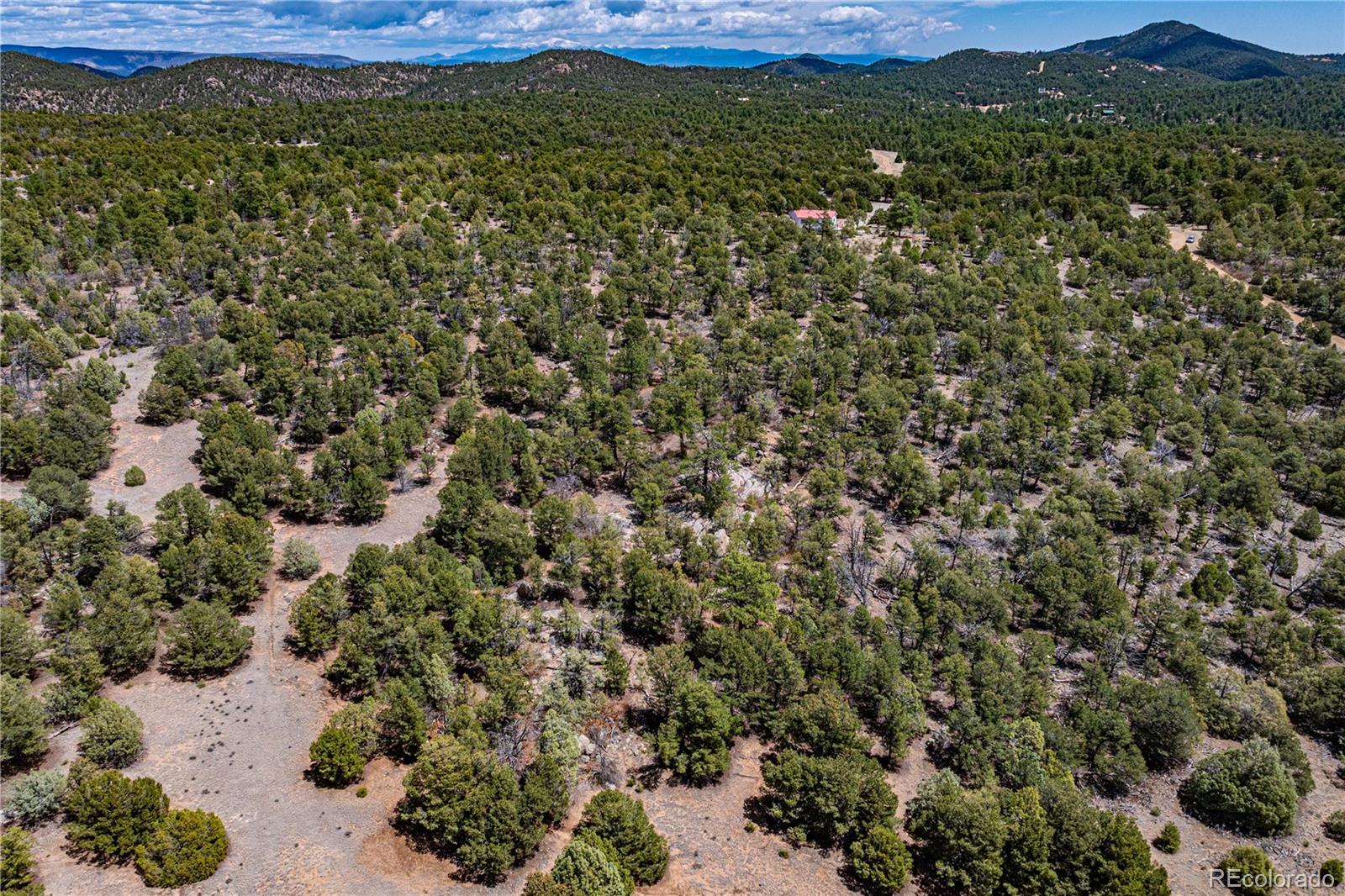 MLS Image #47 for 395  fox fire trail,cotopaxi, Colorado