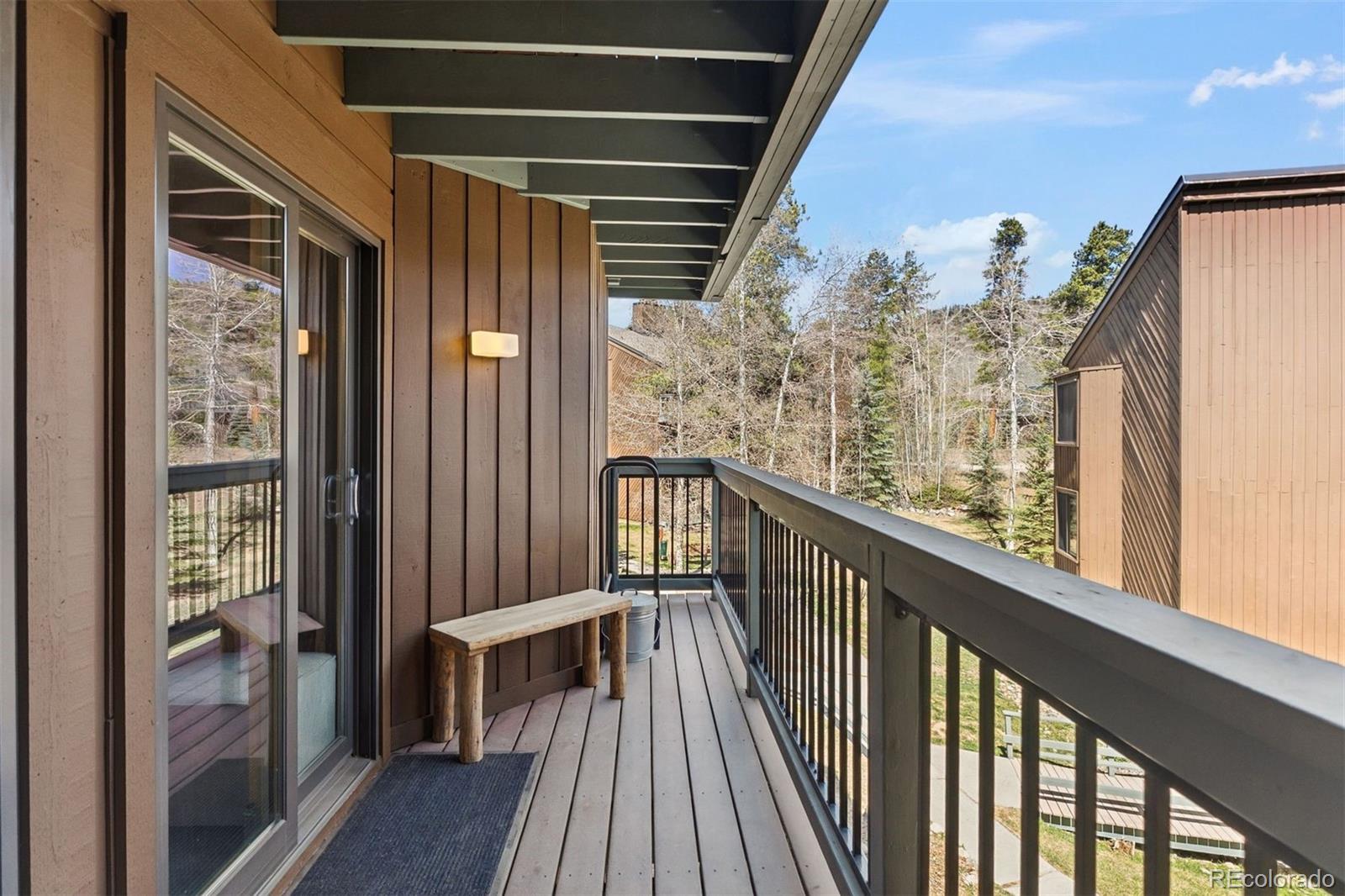 MLS Image #19 for 423  wild irishman road,dillon, Colorado